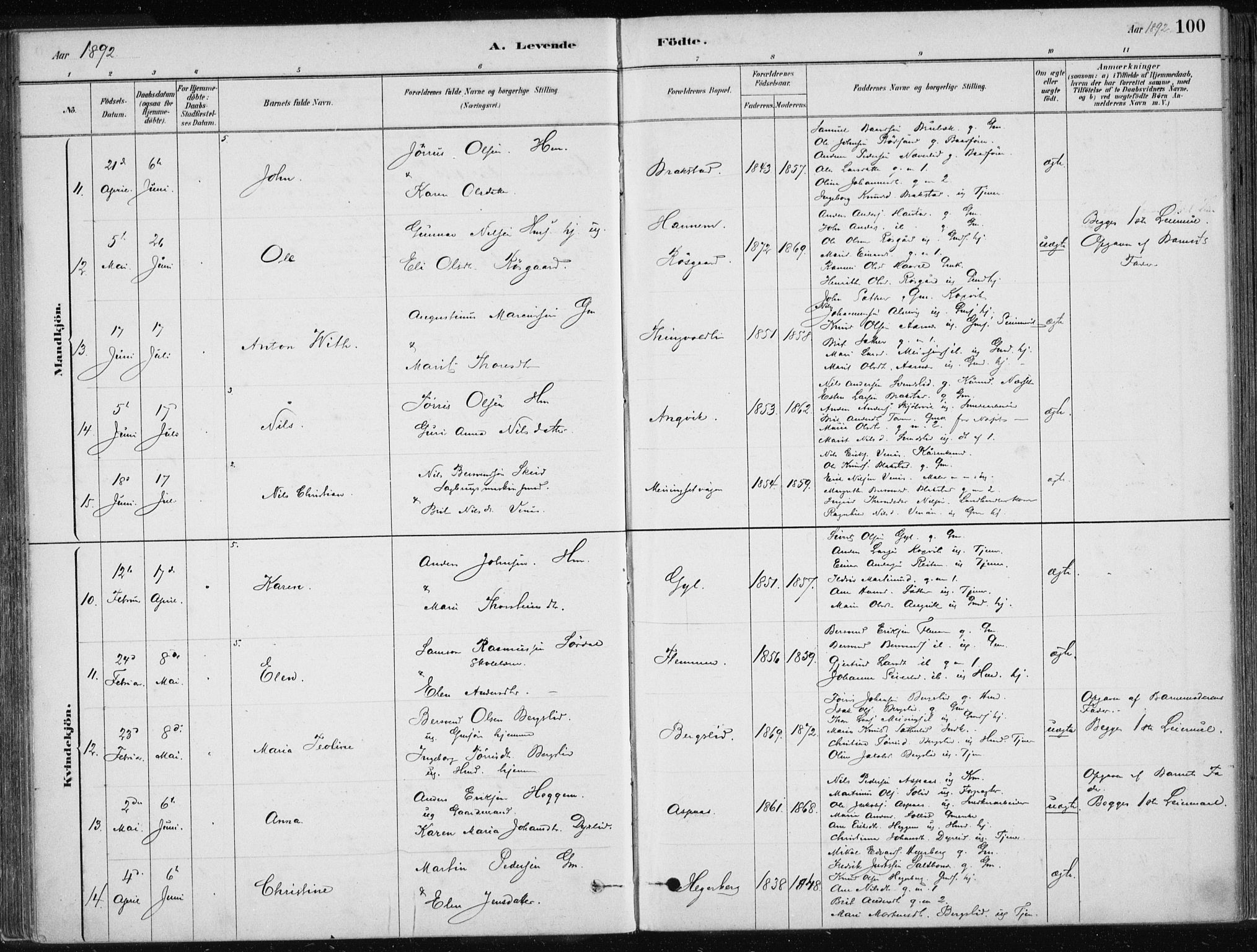 Ministerialprotokoller, klokkerbøker og fødselsregistre - Møre og Romsdal, AV/SAT-A-1454/586/L0987: Ministerialbok nr. 586A13, 1879-1892, s. 100