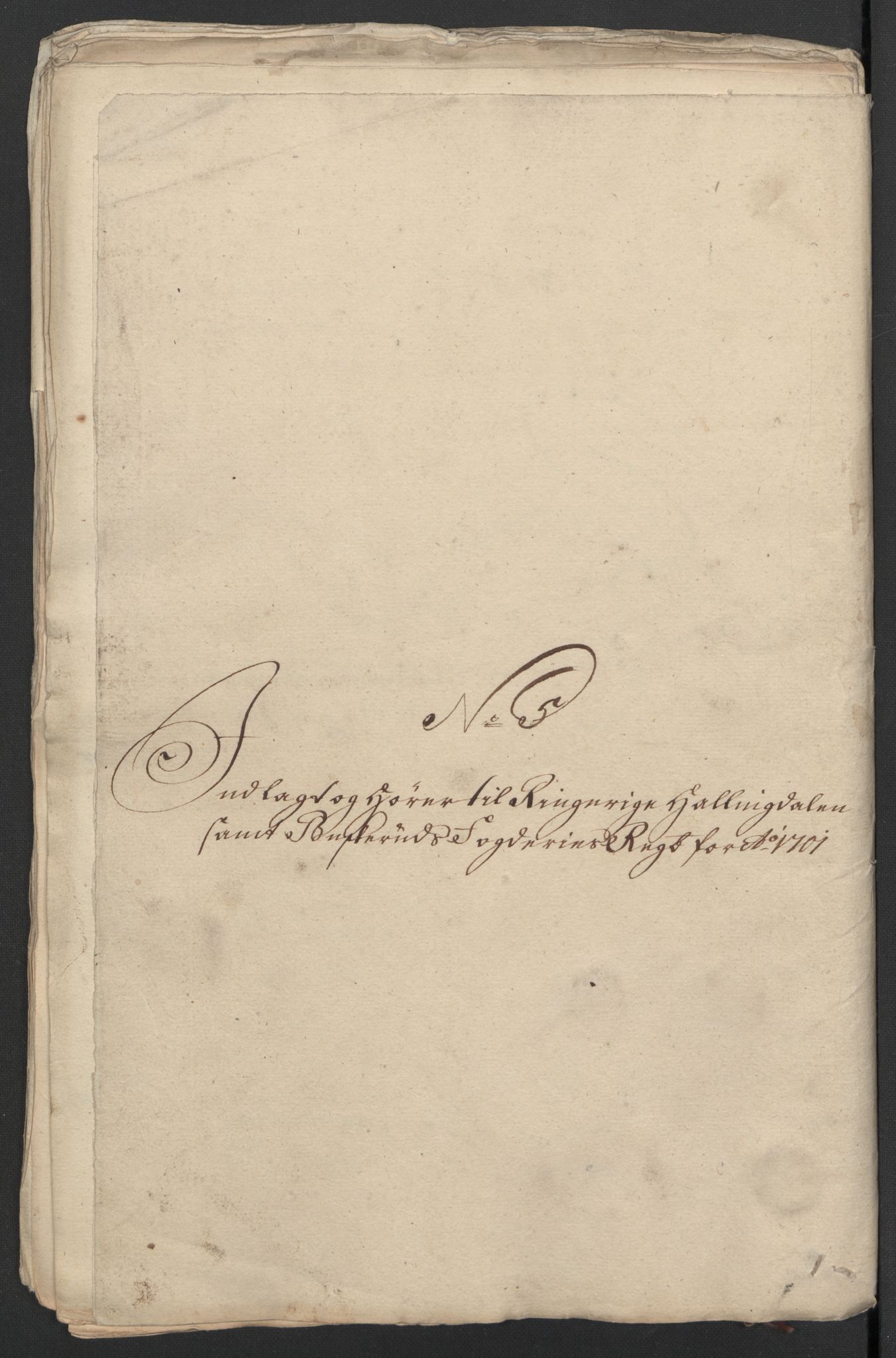 Rentekammeret inntil 1814, Reviderte regnskaper, Fogderegnskap, RA/EA-4092/R22/L1458: Fogderegnskap Ringerike, Hallingdal og Buskerud, 1701, s. 292