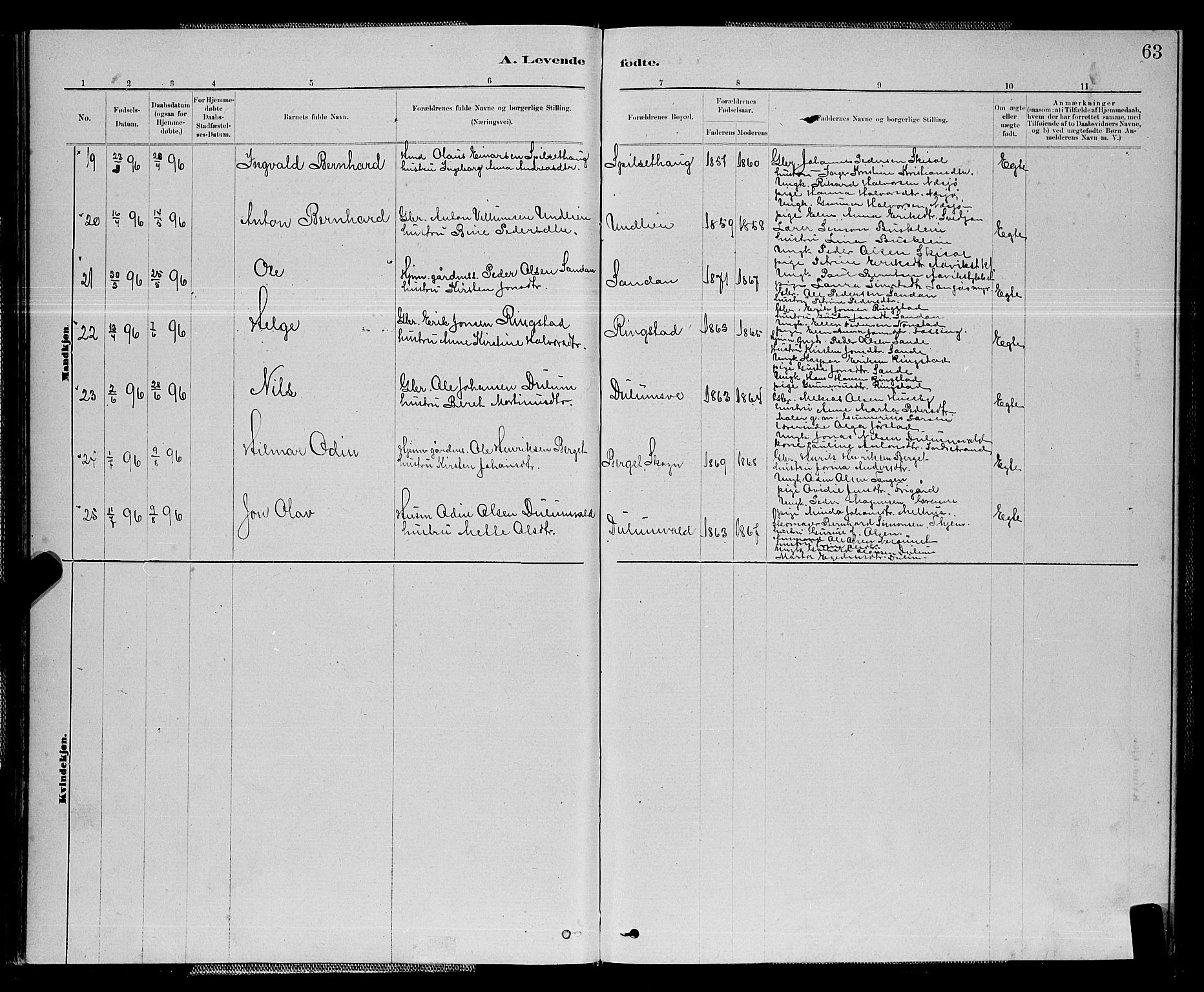 Ministerialprotokoller, klokkerbøker og fødselsregistre - Nord-Trøndelag, SAT/A-1458/714/L0134: Klokkerbok nr. 714C03, 1878-1898, s. 63