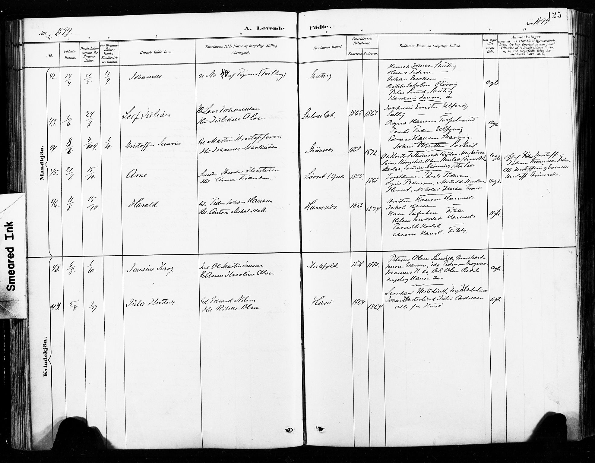 Ministerialprotokoller, klokkerbøker og fødselsregistre - Nordland, SAT/A-1459/859/L0847: Ministerialbok nr. 859A07, 1890-1899, s. 125