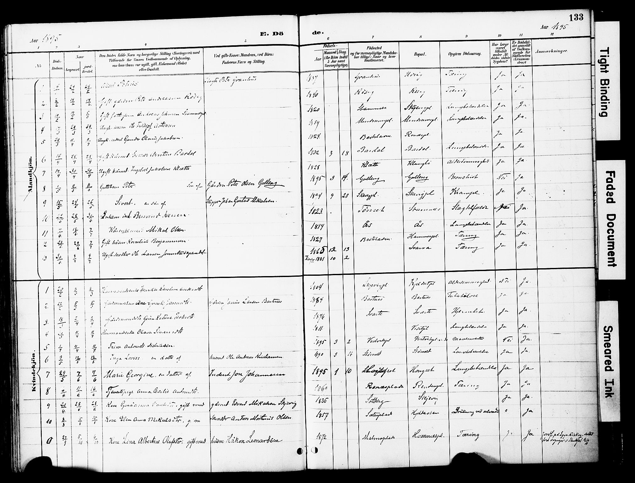 Ministerialprotokoller, klokkerbøker og fødselsregistre - Nord-Trøndelag, SAT/A-1458/741/L0396: Ministerialbok nr. 741A10, 1889-1901, s. 133