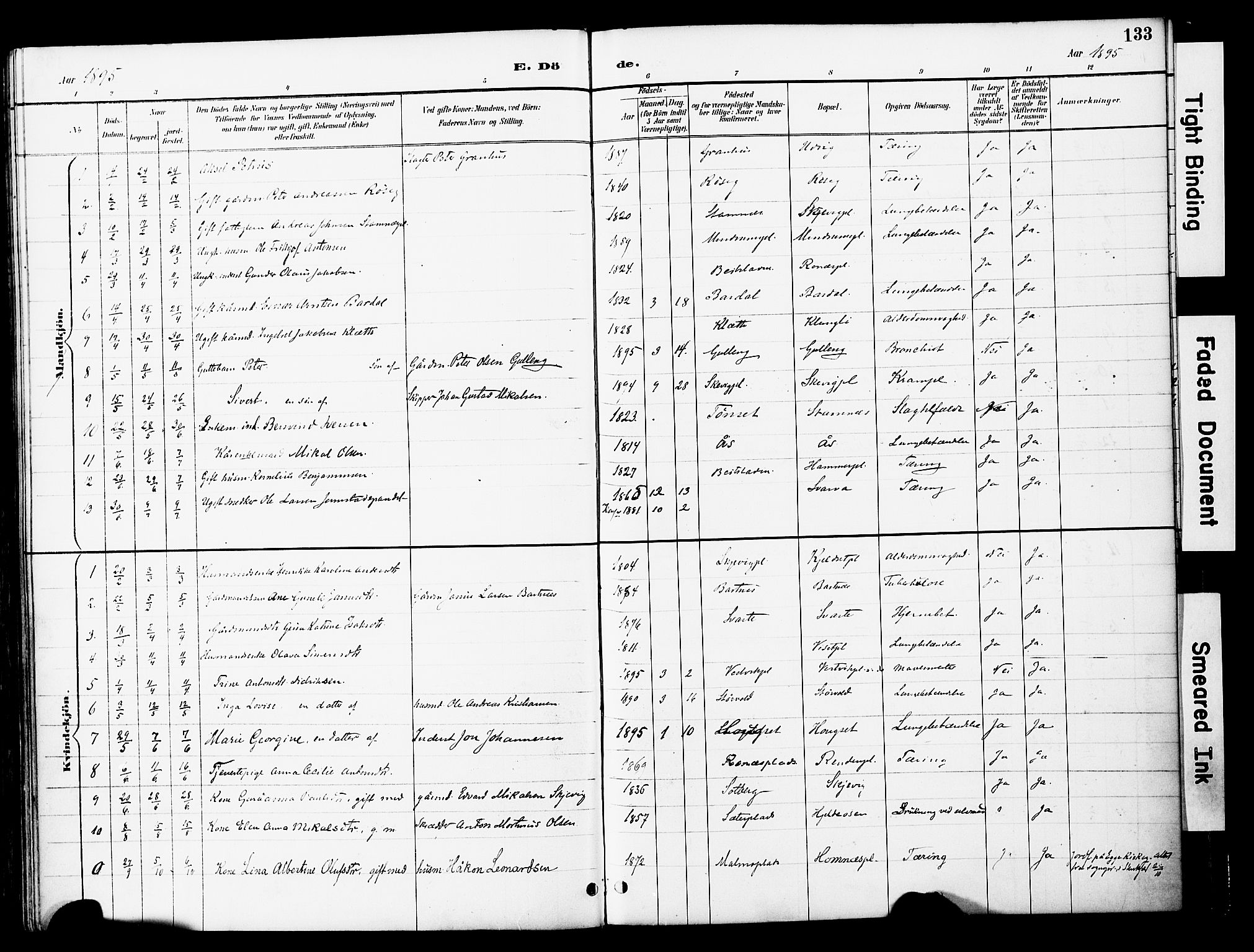 Ministerialprotokoller, klokkerbøker og fødselsregistre - Nord-Trøndelag, AV/SAT-A-1458/741/L0396: Ministerialbok nr. 741A10, 1889-1901, s. 133