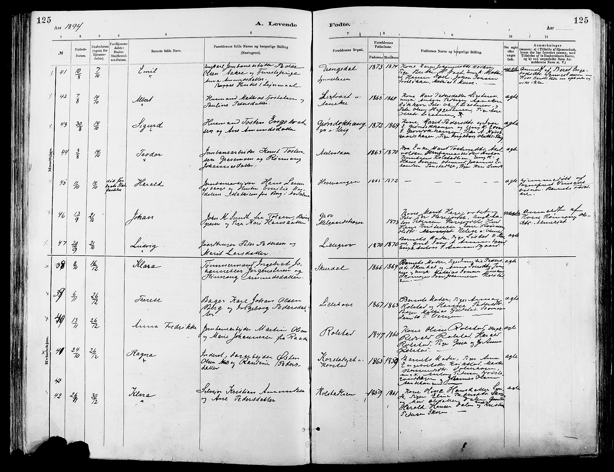 Sør-Fron prestekontor, SAH/PREST-010/H/Ha/Haa/L0003: Ministerialbok nr. 3, 1881-1897, s. 125