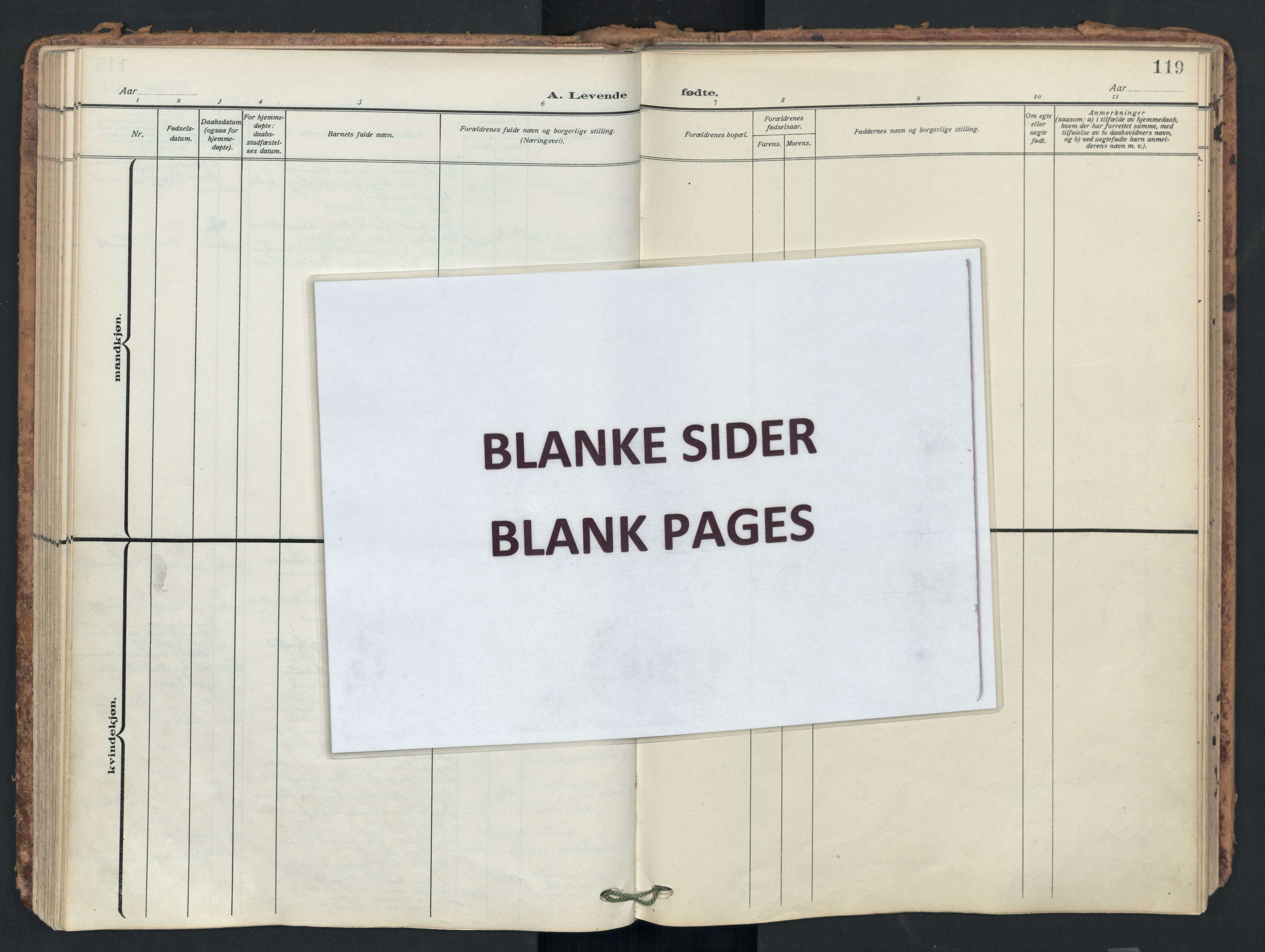 Ullensaker prestekontor Kirkebøker, AV/SAO-A-10236a/F/Fb/L0003: Ministerialbok nr. II 3, 1910-1928, s. 119