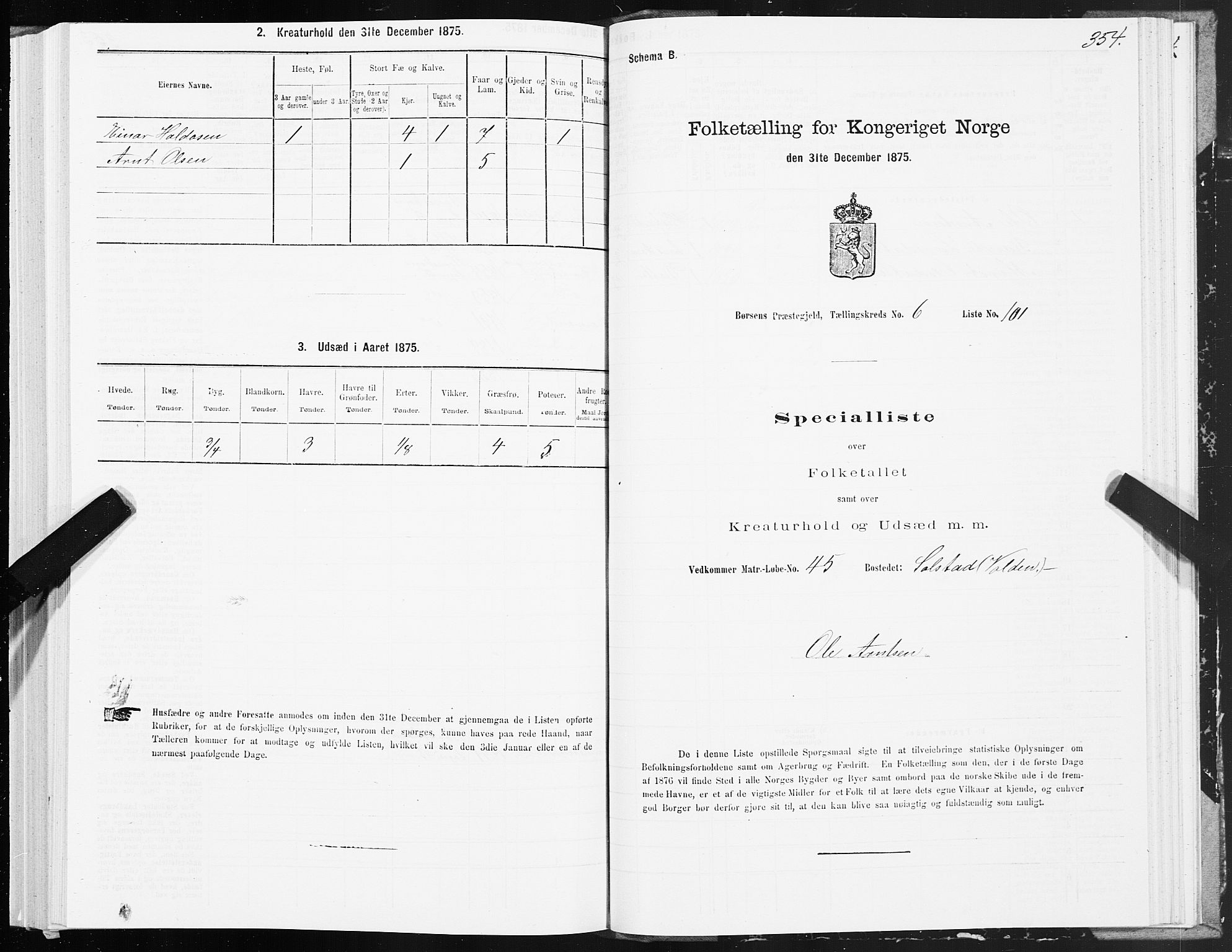 SAT, Folketelling 1875 for 1658P Børsa prestegjeld, 1875, s. 4354