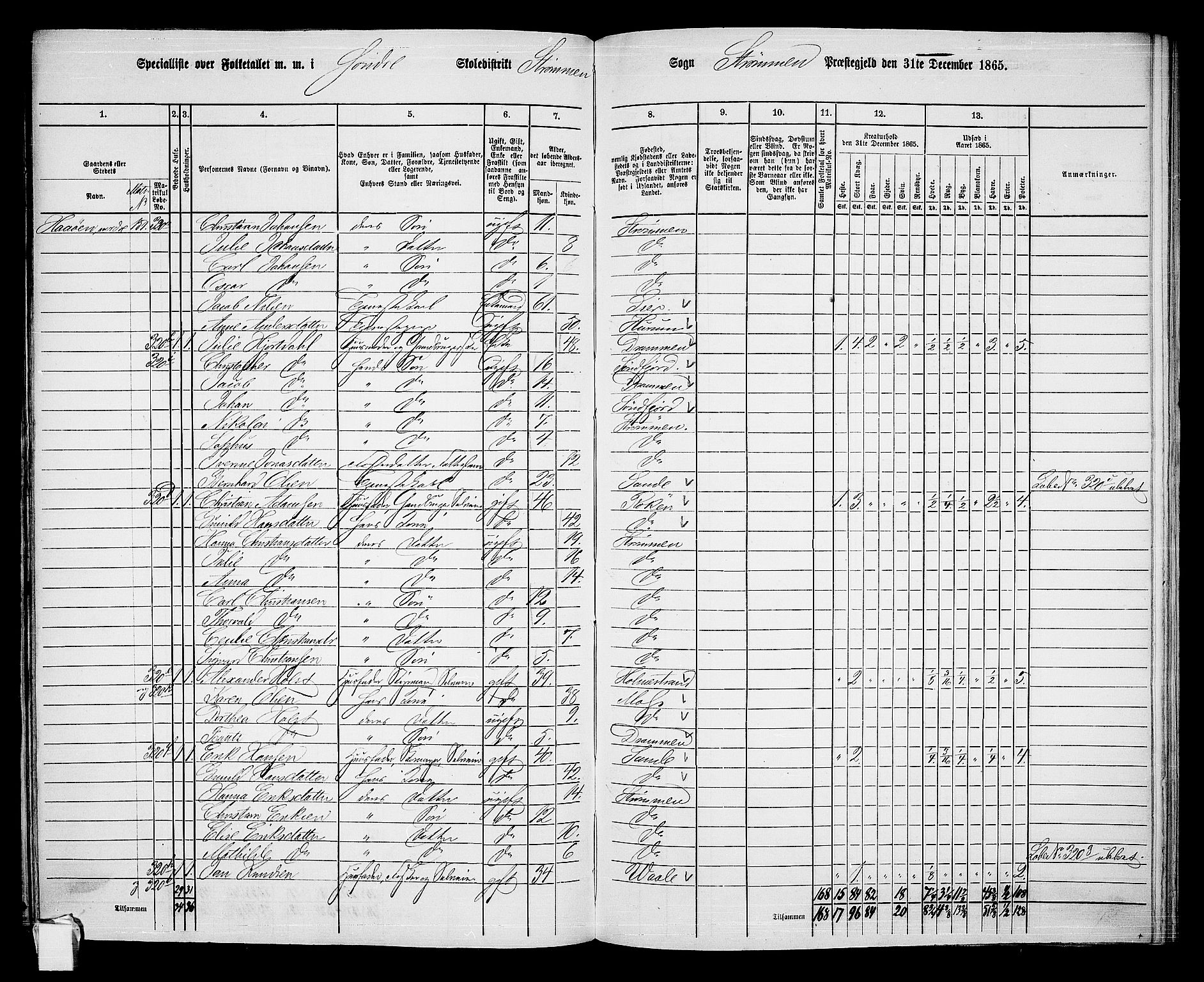 RA, Folketelling 1865 for 0711P Strømm prestegjeld, 1865, s. 10