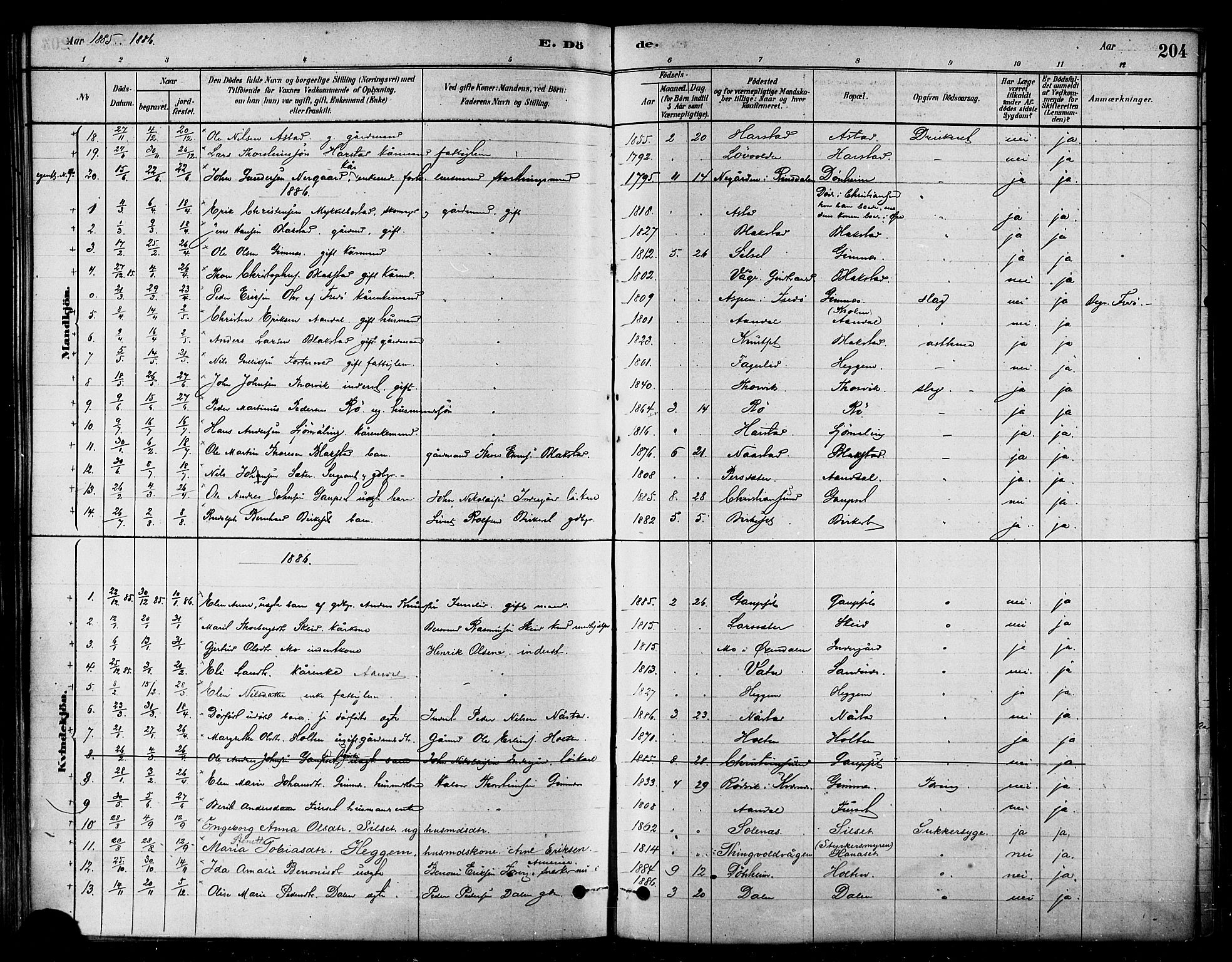 Ministerialprotokoller, klokkerbøker og fødselsregistre - Møre og Romsdal, AV/SAT-A-1454/584/L0967: Ministerialbok nr. 584A07, 1879-1894, s. 204
