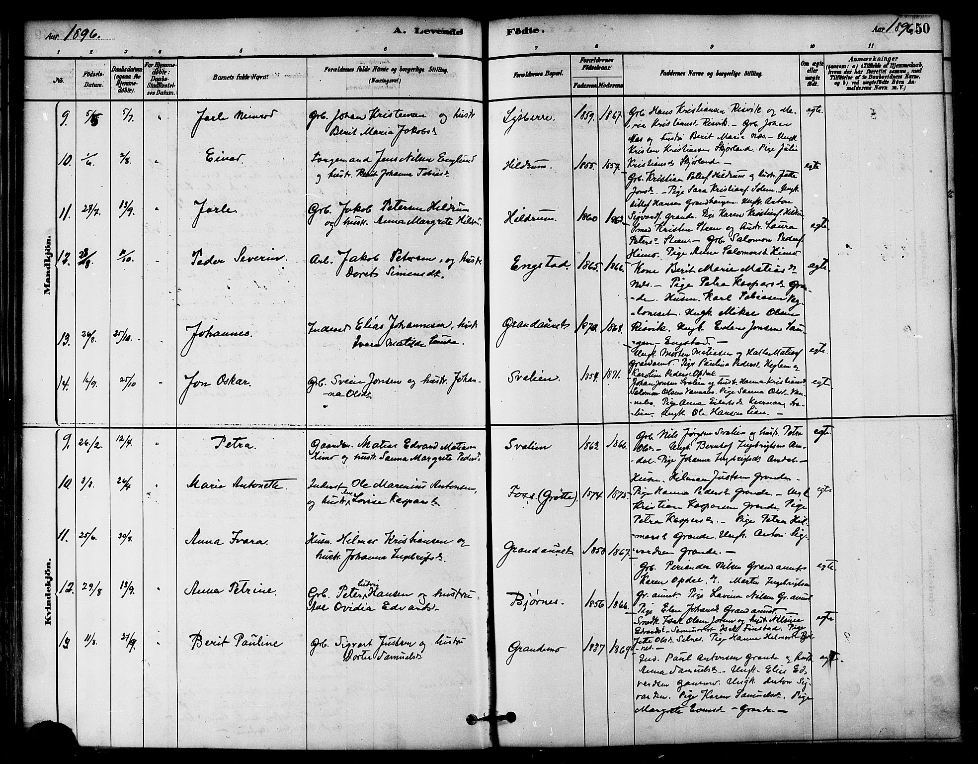 Ministerialprotokoller, klokkerbøker og fødselsregistre - Nord-Trøndelag, AV/SAT-A-1458/764/L0555: Ministerialbok nr. 764A10, 1881-1896, s. 50