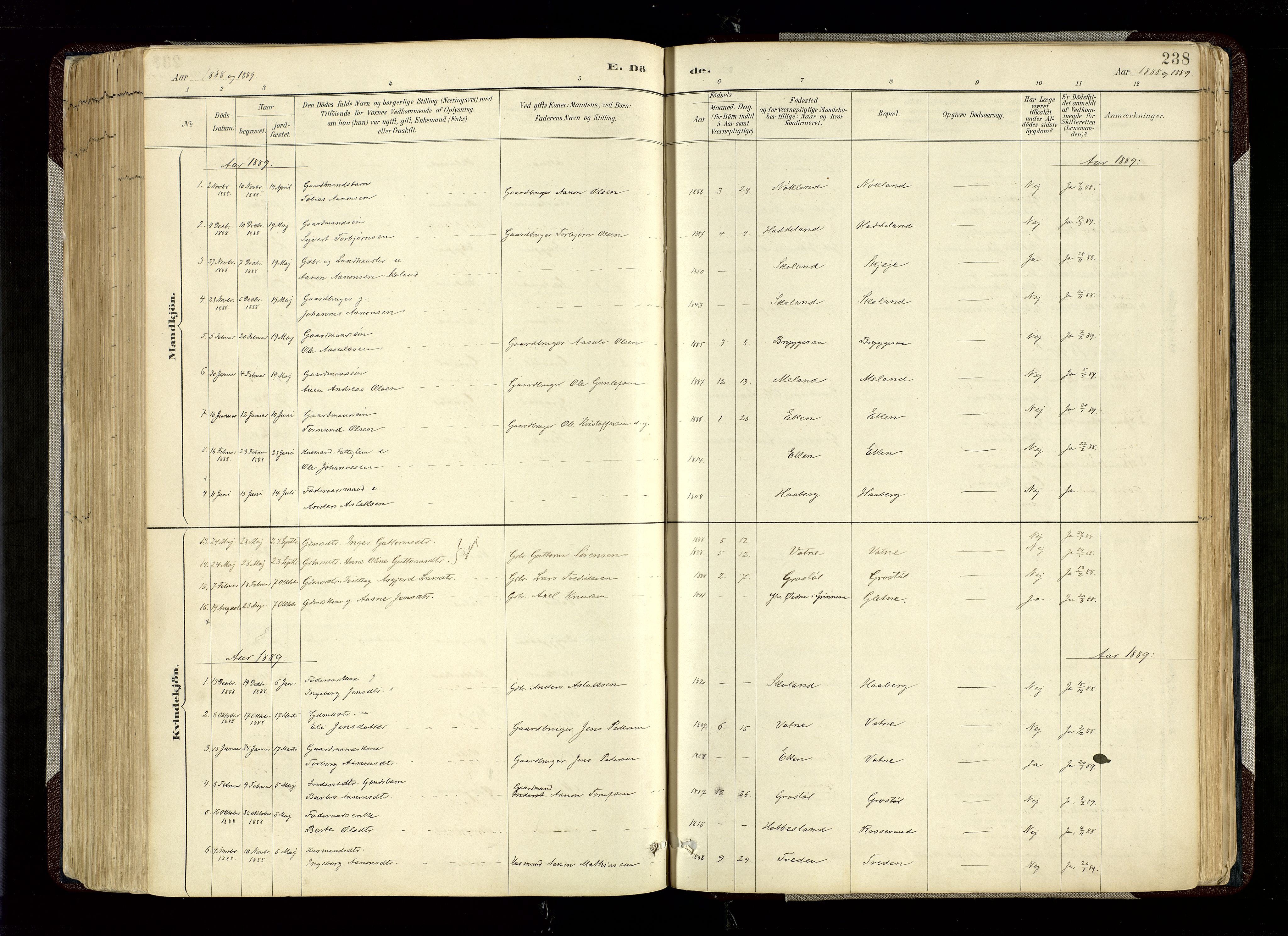 Hægebostad sokneprestkontor, SAK/1111-0024/F/Fa/Fab/L0004: Ministerialbok nr. A 4, 1887-1929, s. 238