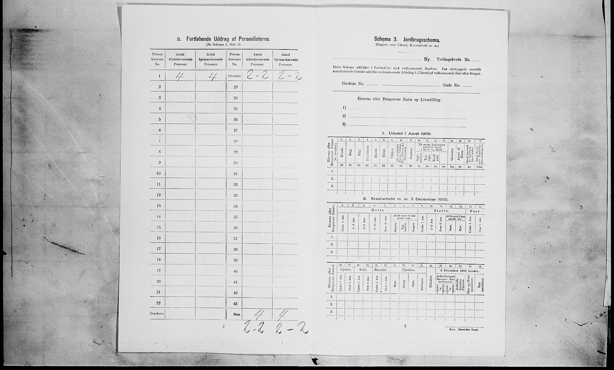 SAH, Folketelling 1900 for 0501 Lillehammer kjøpstad, 1900, s. 505