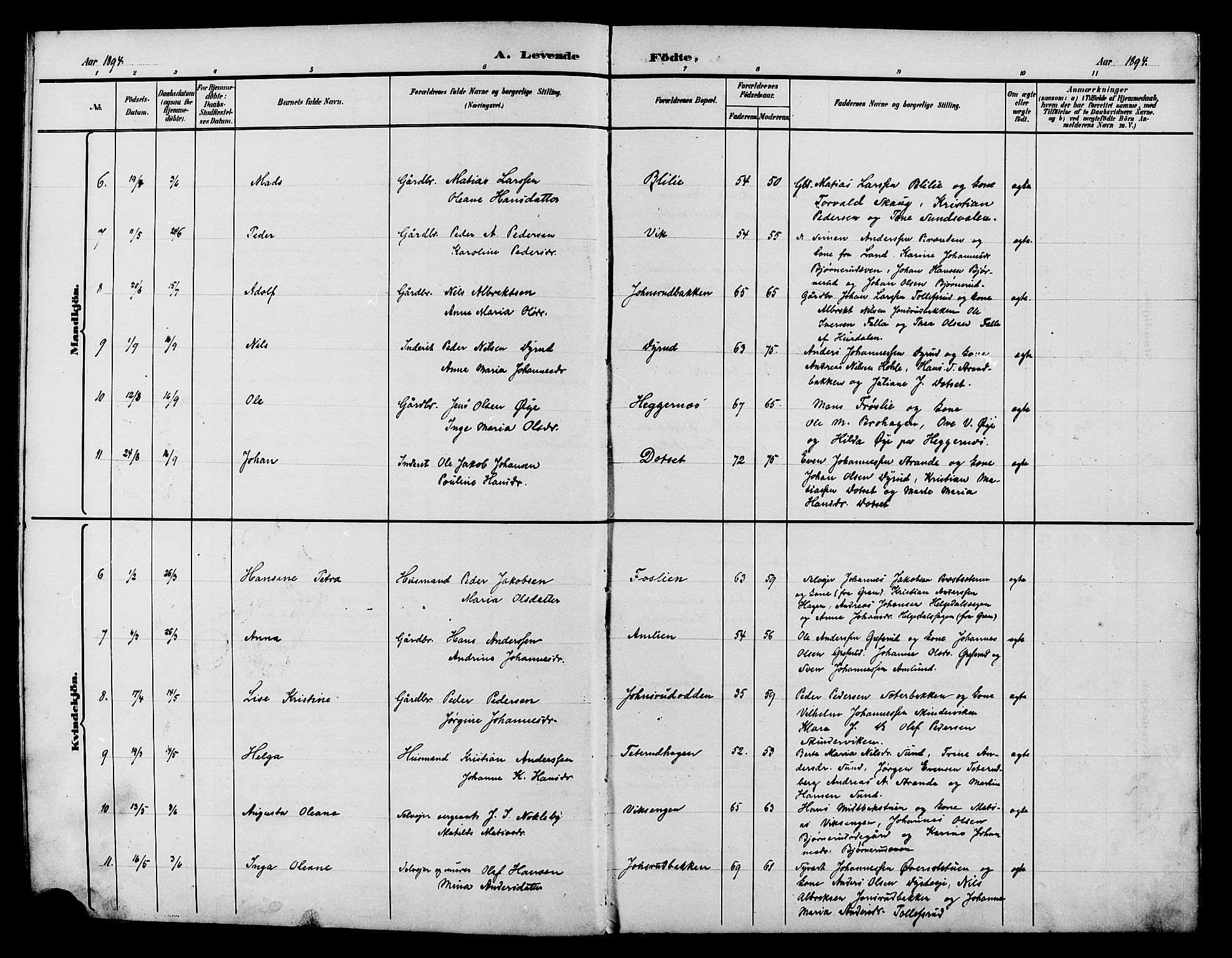 Vestre Toten prestekontor, SAH/PREST-108/H/Ha/Hab/L0015: Klokkerbok nr. 15, 1890-1900