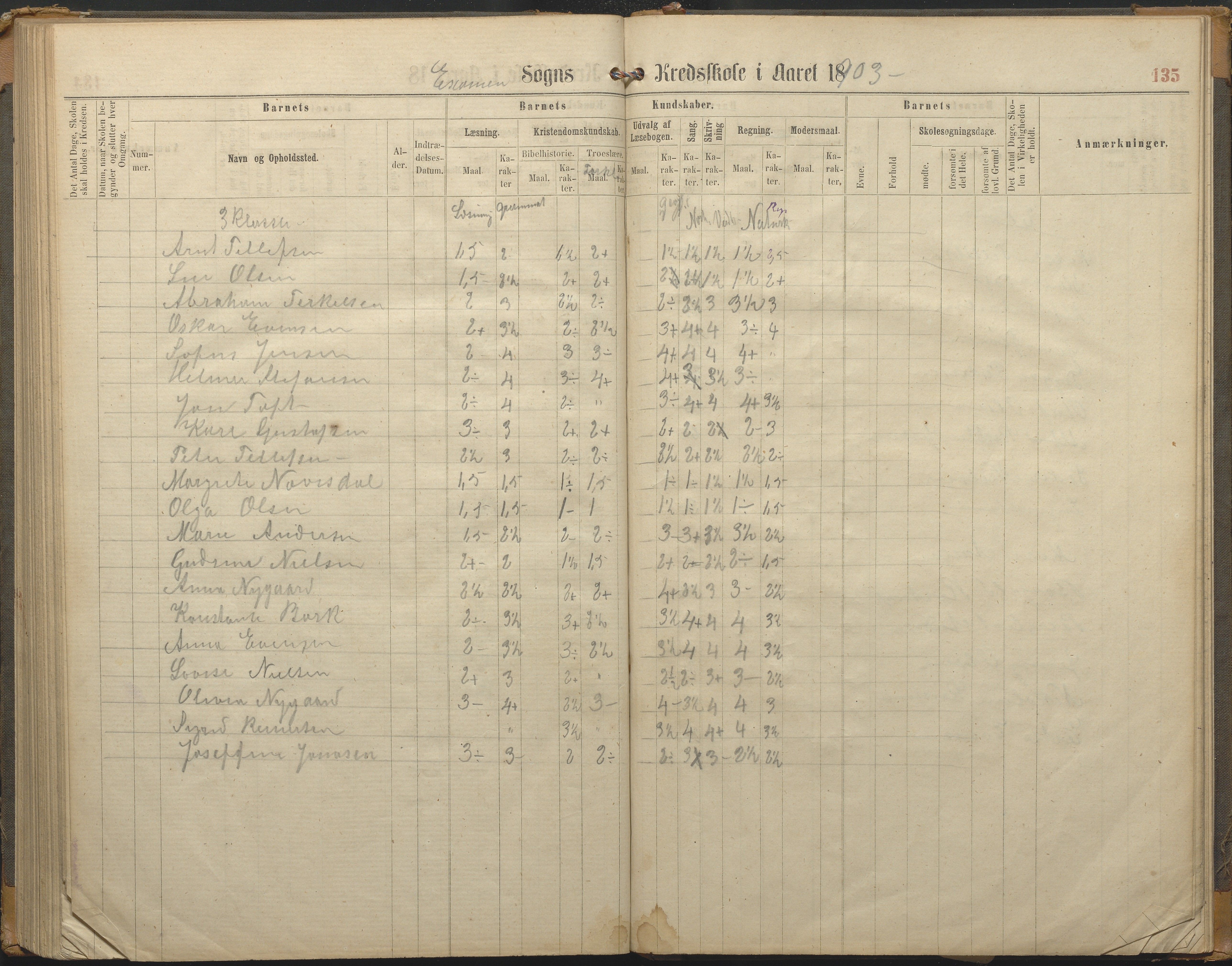 Hisøy kommune frem til 1991, AAKS/KA0922-PK/33/L0002: Skoleprotokoll, 1863-1881, s. 135