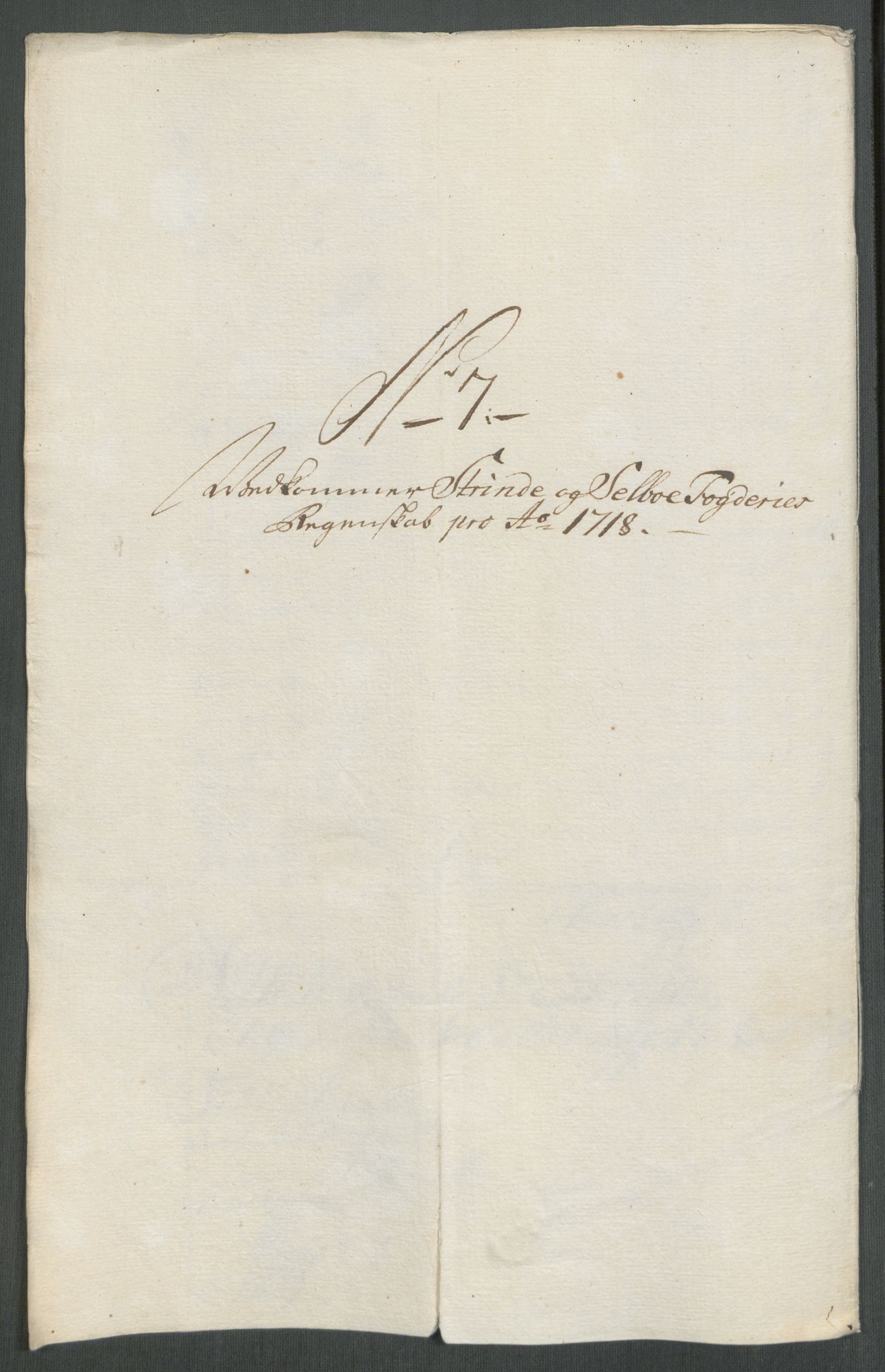 Rentekammeret inntil 1814, Reviderte regnskaper, Fogderegnskap, RA/EA-4092/R61/L4116: Fogderegnskap Strinda og Selbu, 1717-1718, s. 388
