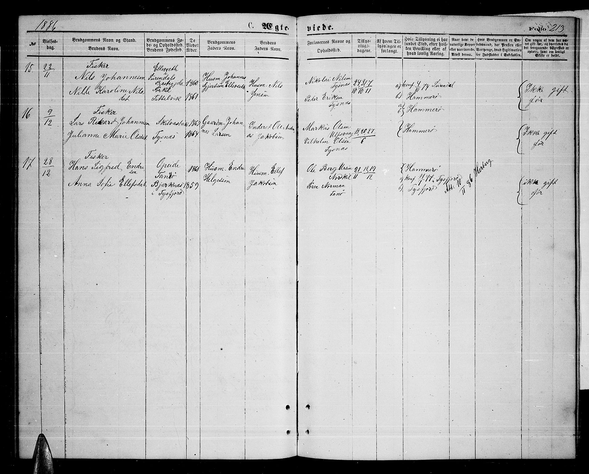 Ministerialprotokoller, klokkerbøker og fødselsregistre - Nordland, AV/SAT-A-1459/859/L0858: Klokkerbok nr. 859C04, 1873-1886, s. 213