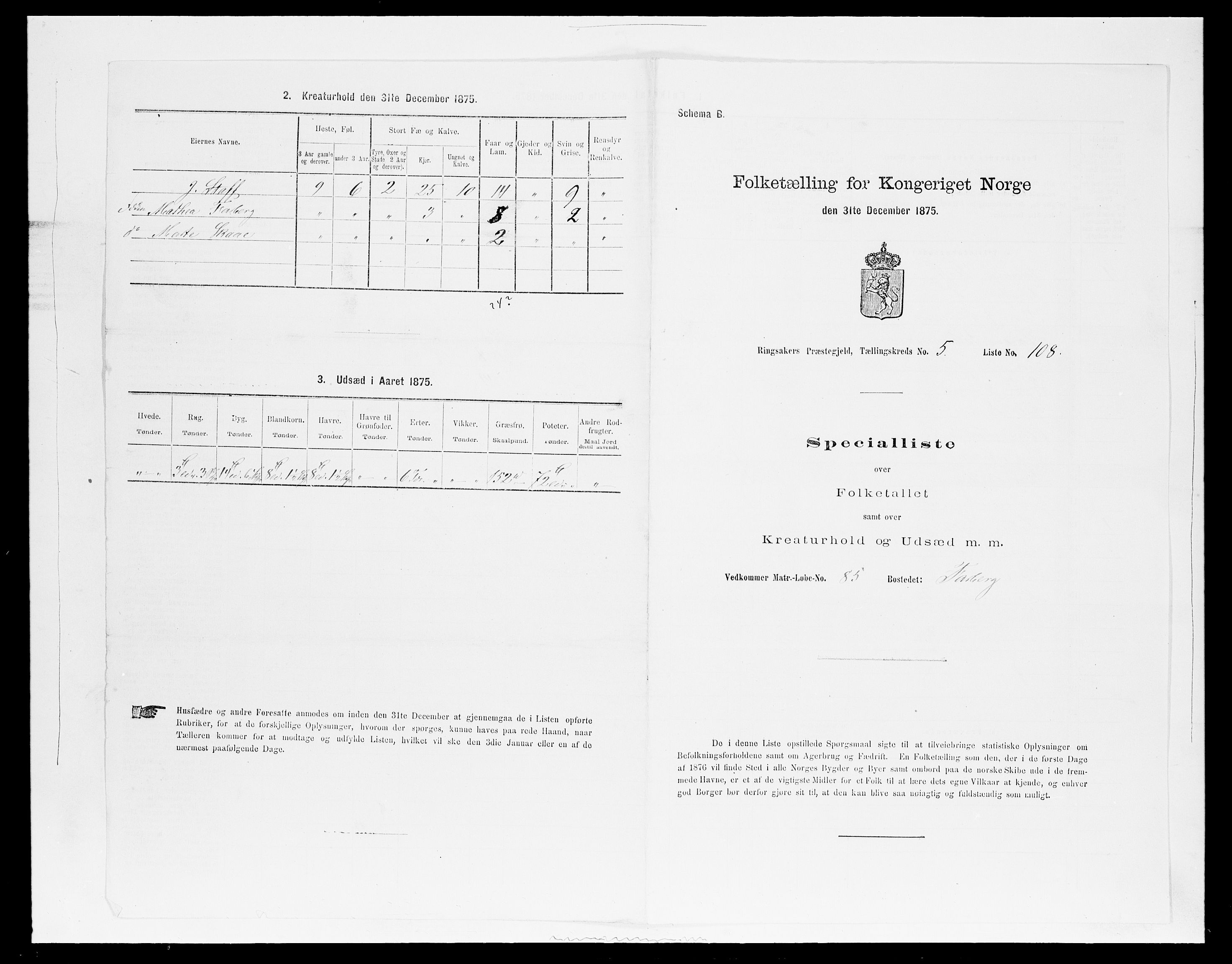 SAH, Folketelling 1875 for 0412P Ringsaker prestegjeld, 1875, s. 1145