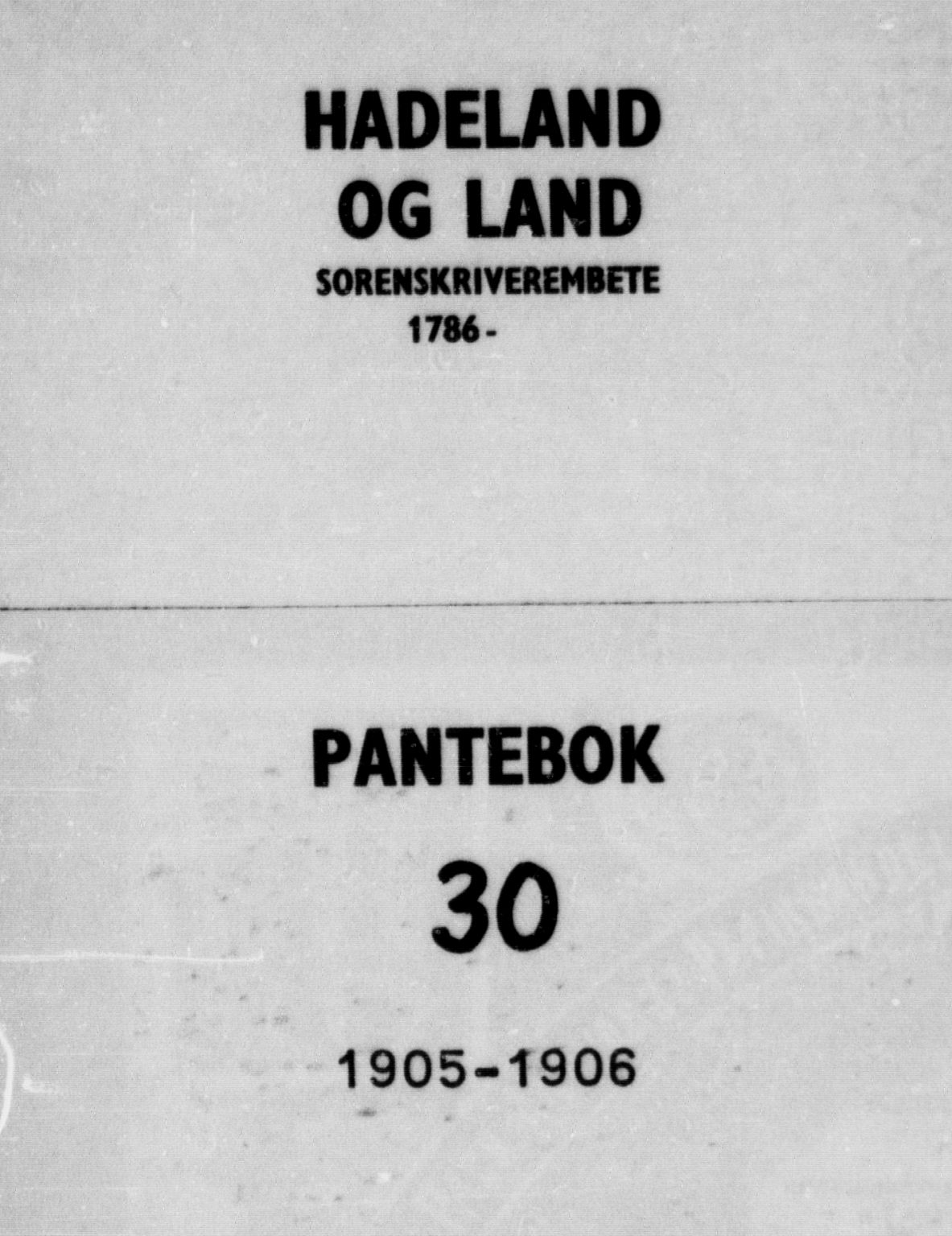 Hadeland og Land tingrett, AV/SAH-TING-010/H/Hb/Hba/L0030: Pantebok nr. 30, 1905-1906