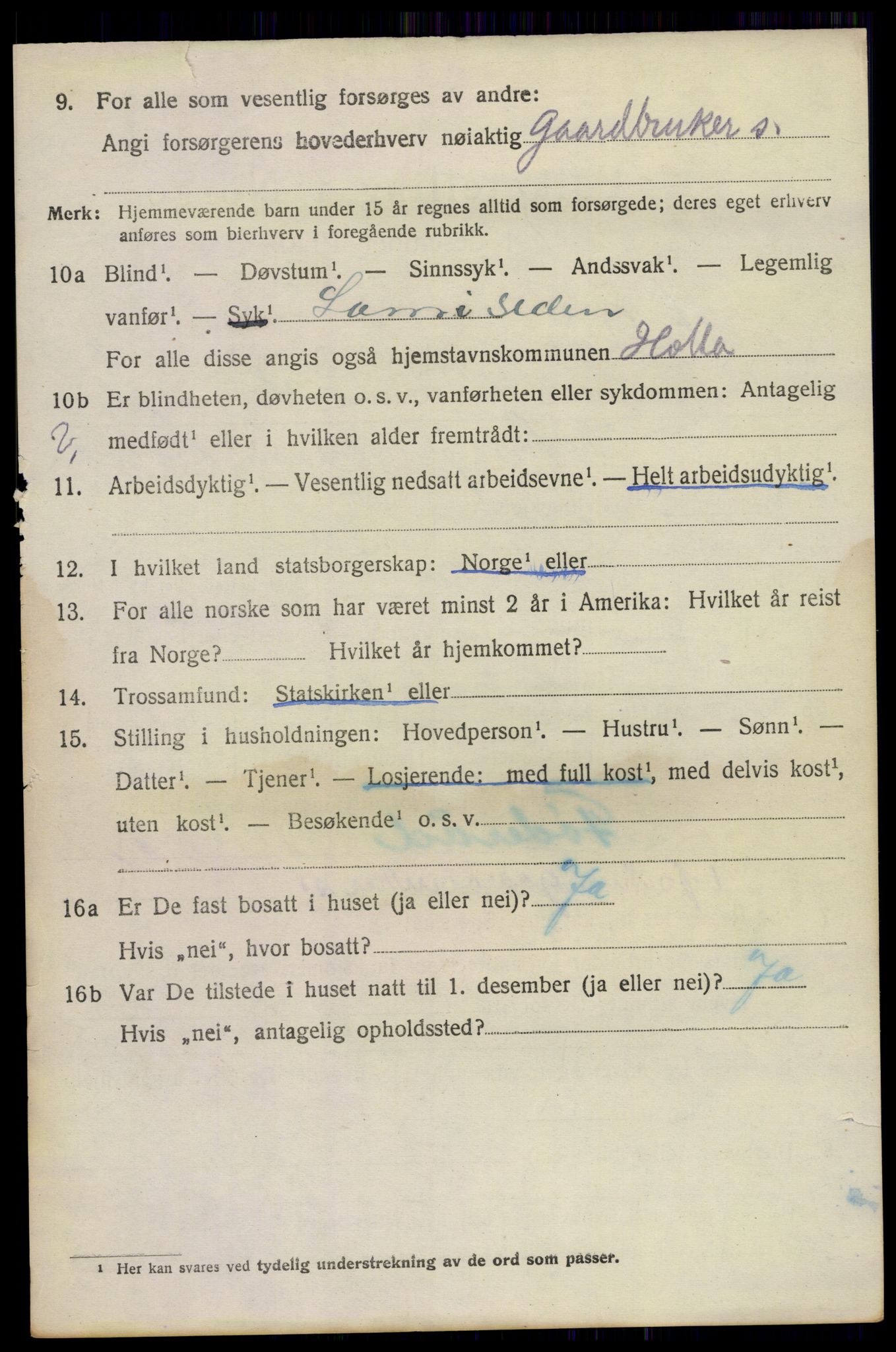 SAKO, Folketelling 1920 for 0819 Holla herred, 1920, s. 5306