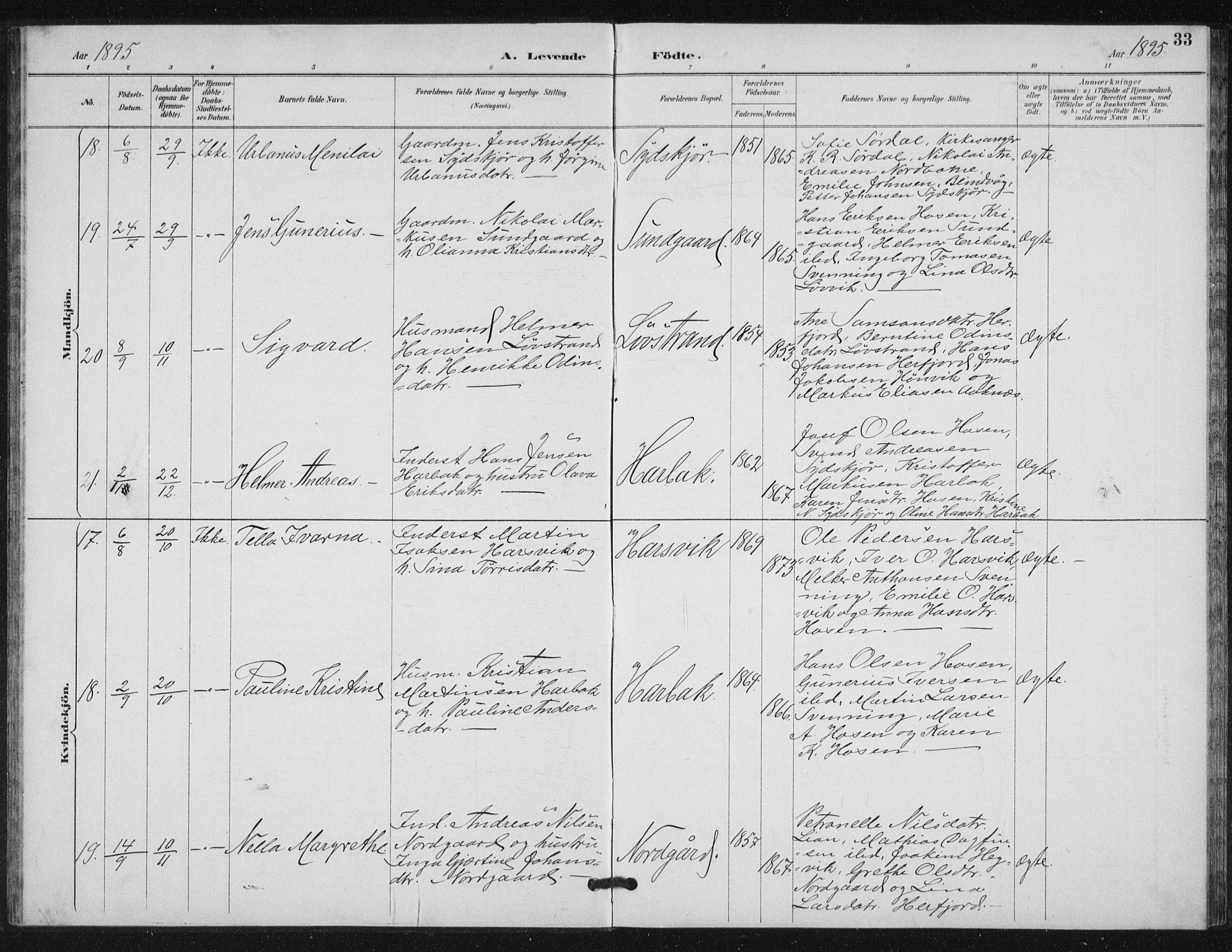 Ministerialprotokoller, klokkerbøker og fødselsregistre - Sør-Trøndelag, SAT/A-1456/656/L0698: Klokkerbok nr. 656C04, 1890-1904, s. 33
