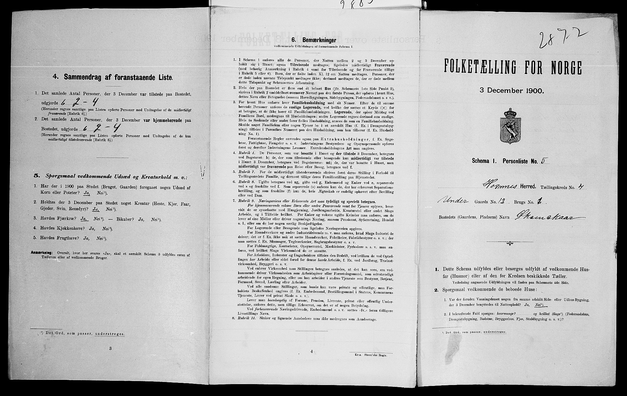 SAK, Folketelling 1900 for 0936 Hornnes herred, 1900, s. 208