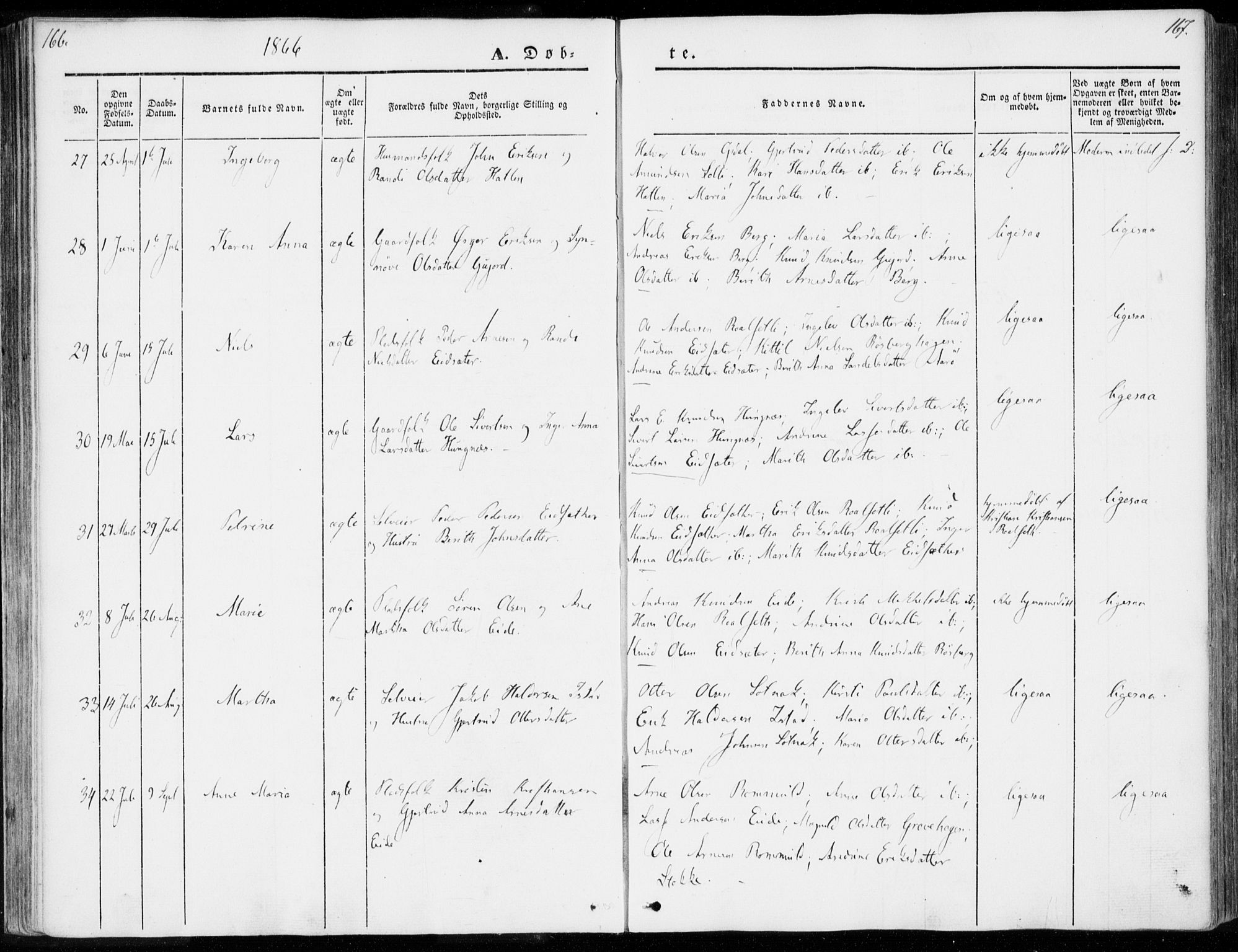 Ministerialprotokoller, klokkerbøker og fødselsregistre - Møre og Romsdal, AV/SAT-A-1454/557/L0680: Ministerialbok nr. 557A02, 1843-1869, s. 166-167