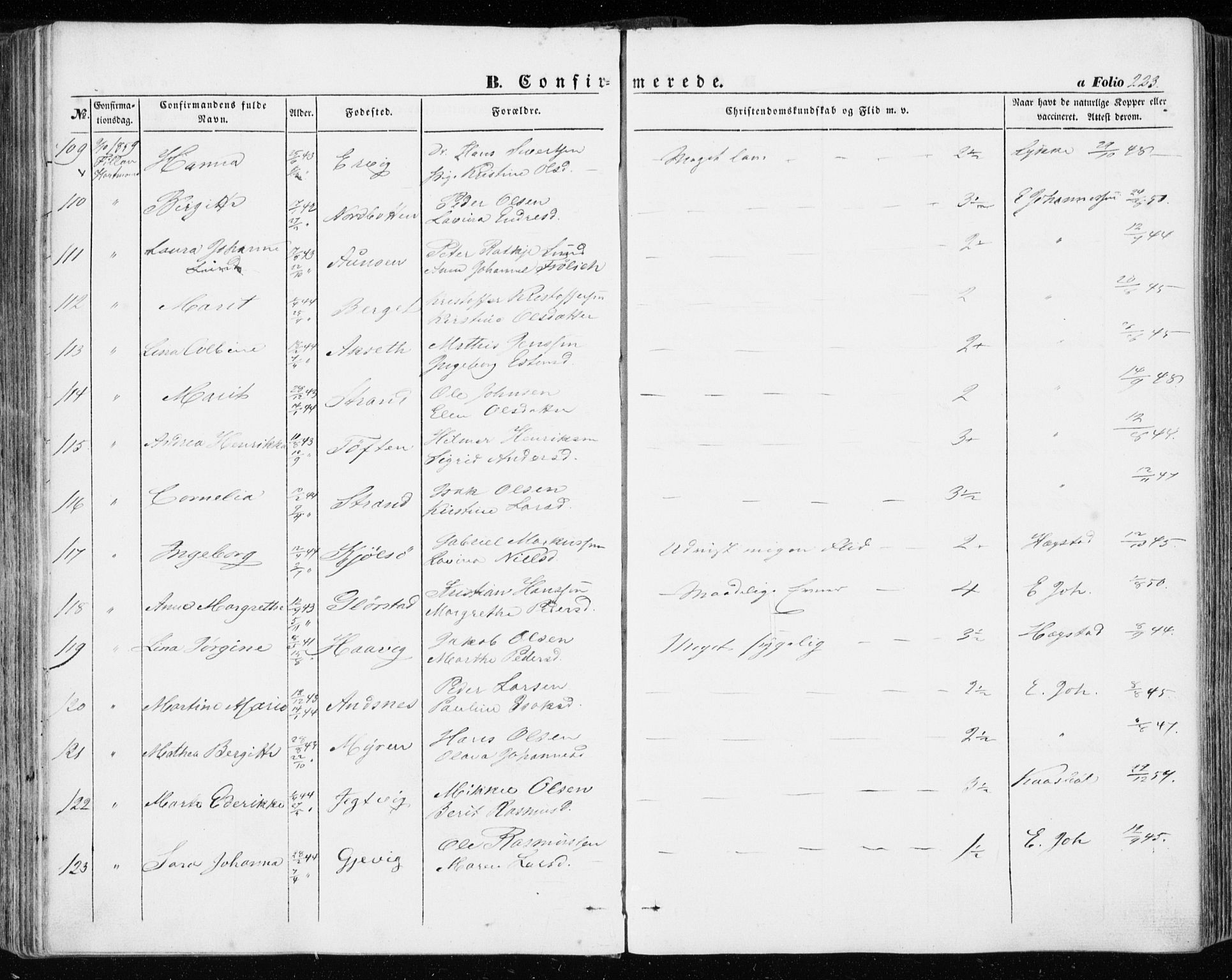 Ministerialprotokoller, klokkerbøker og fødselsregistre - Sør-Trøndelag, SAT/A-1456/634/L0530: Ministerialbok nr. 634A06, 1852-1860, s. 223