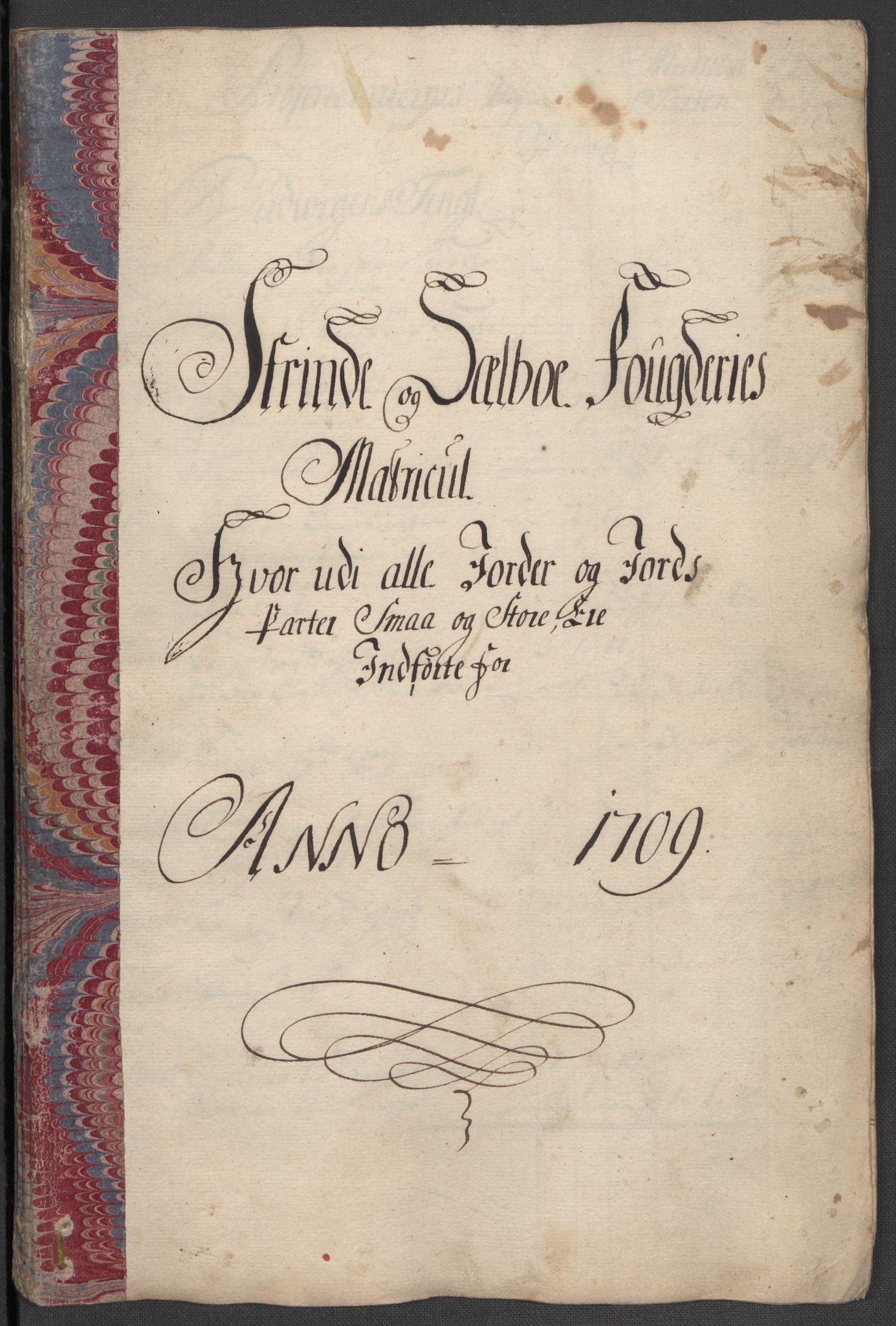Rentekammeret inntil 1814, Reviderte regnskaper, Fogderegnskap, RA/EA-4092/R61/L4111: Fogderegnskap Strinda og Selbu, 1709-1710, s. 19