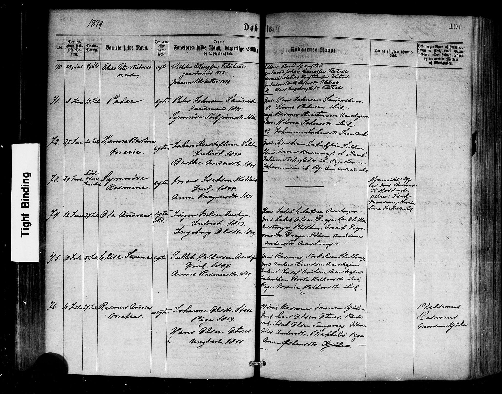 Selje sokneprestembete, AV/SAB-A-99938/H/Ha/Haa/Haaa: Ministerialbok nr. A 12, 1870-1880, s. 101