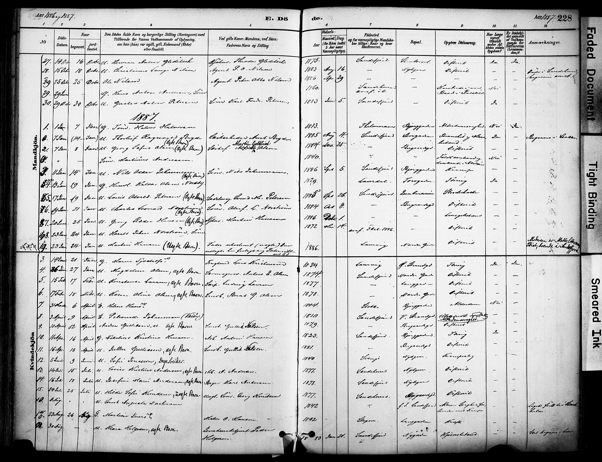 Sandefjord kirkebøker, AV/SAKO-A-315/F/Fa/L0002: Ministerialbok nr. 2, 1880-1894, s. 228