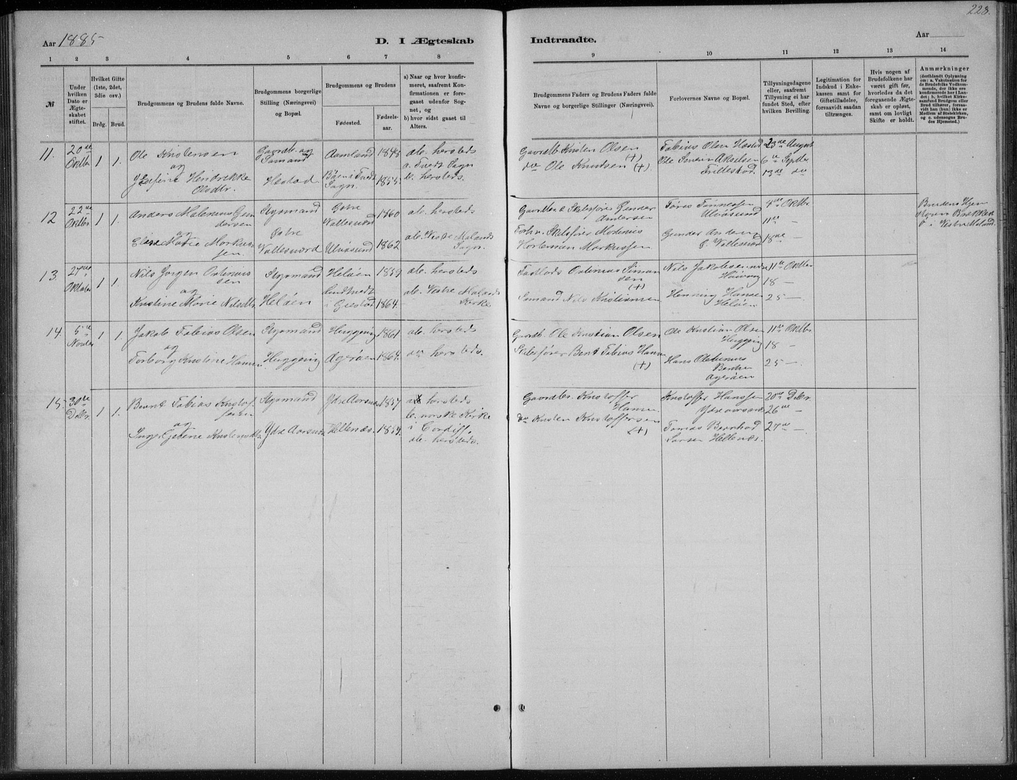 Høvåg sokneprestkontor, AV/SAK-1111-0025/F/Fb/L0004: Klokkerbok nr. B 4, 1883-1898, s. 228