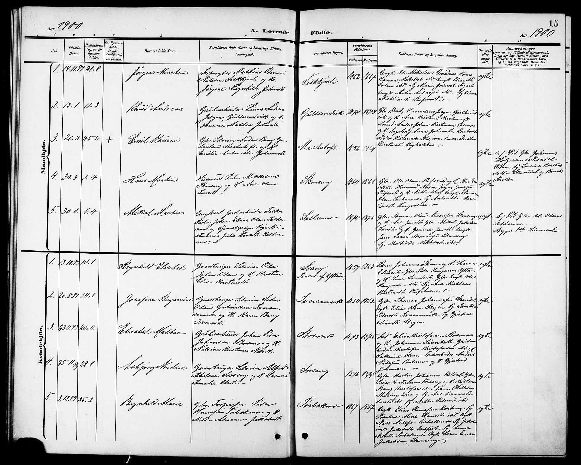 Ministerialprotokoller, klokkerbøker og fødselsregistre - Nordland, SAT/A-1459/827/L0422: Klokkerbok nr. 827C11, 1899-1912, s. 15