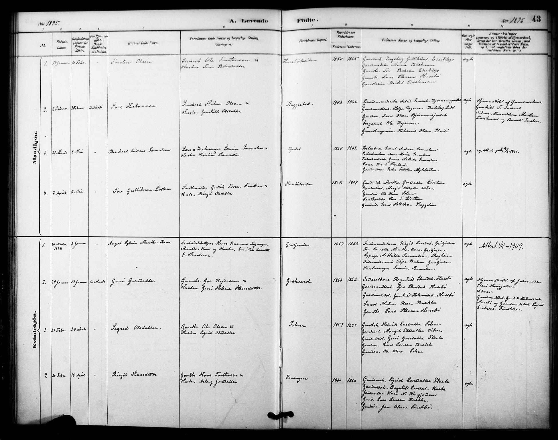 Nore kirkebøker, SAKO/A-238/F/Fc/L0004: Ministerialbok nr. III 4, 1885-1898, s. 43