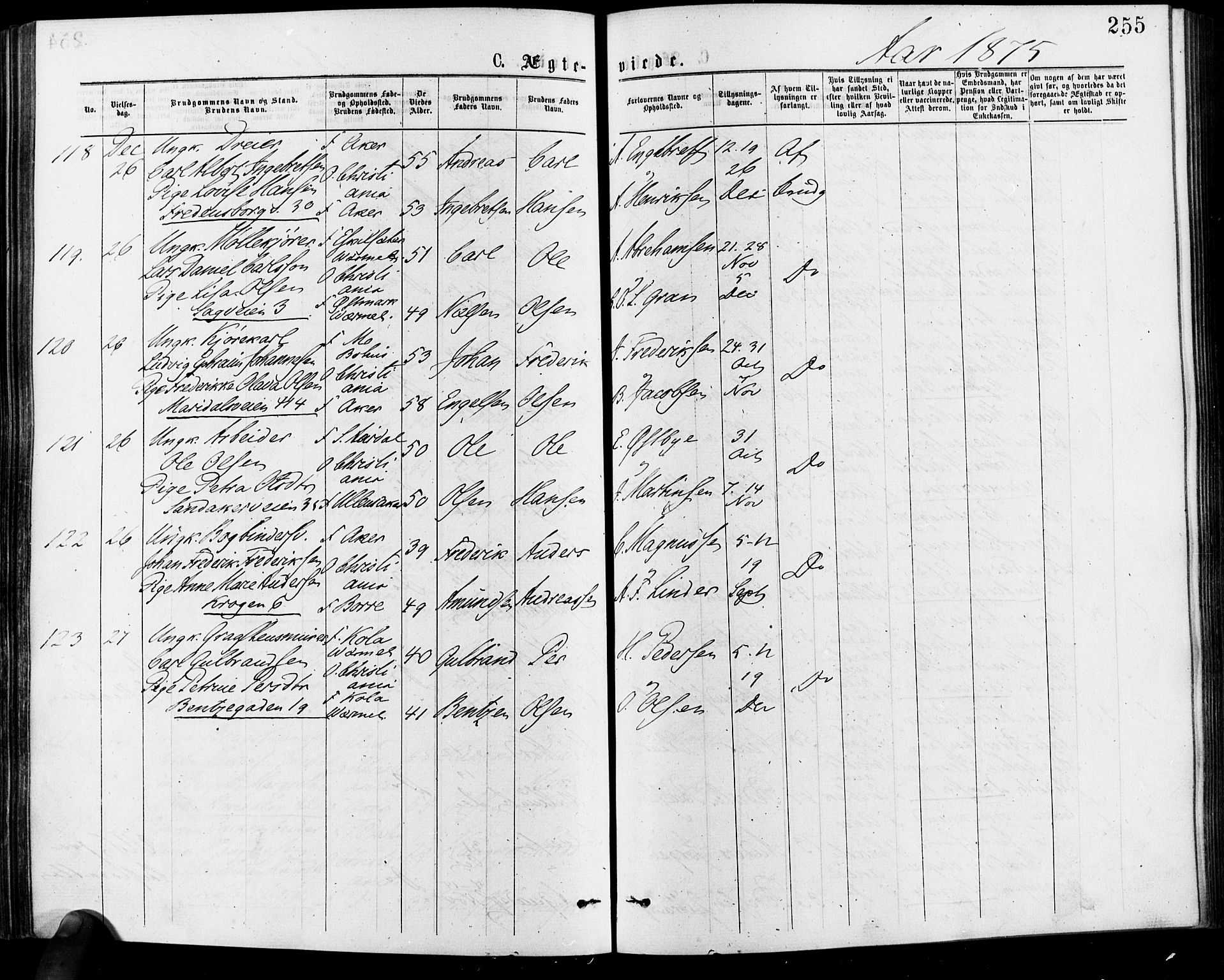 Gamle Aker prestekontor Kirkebøker, AV/SAO-A-10617a/F/L0005: Ministerialbok nr. 5, 1873-1881, s. 255