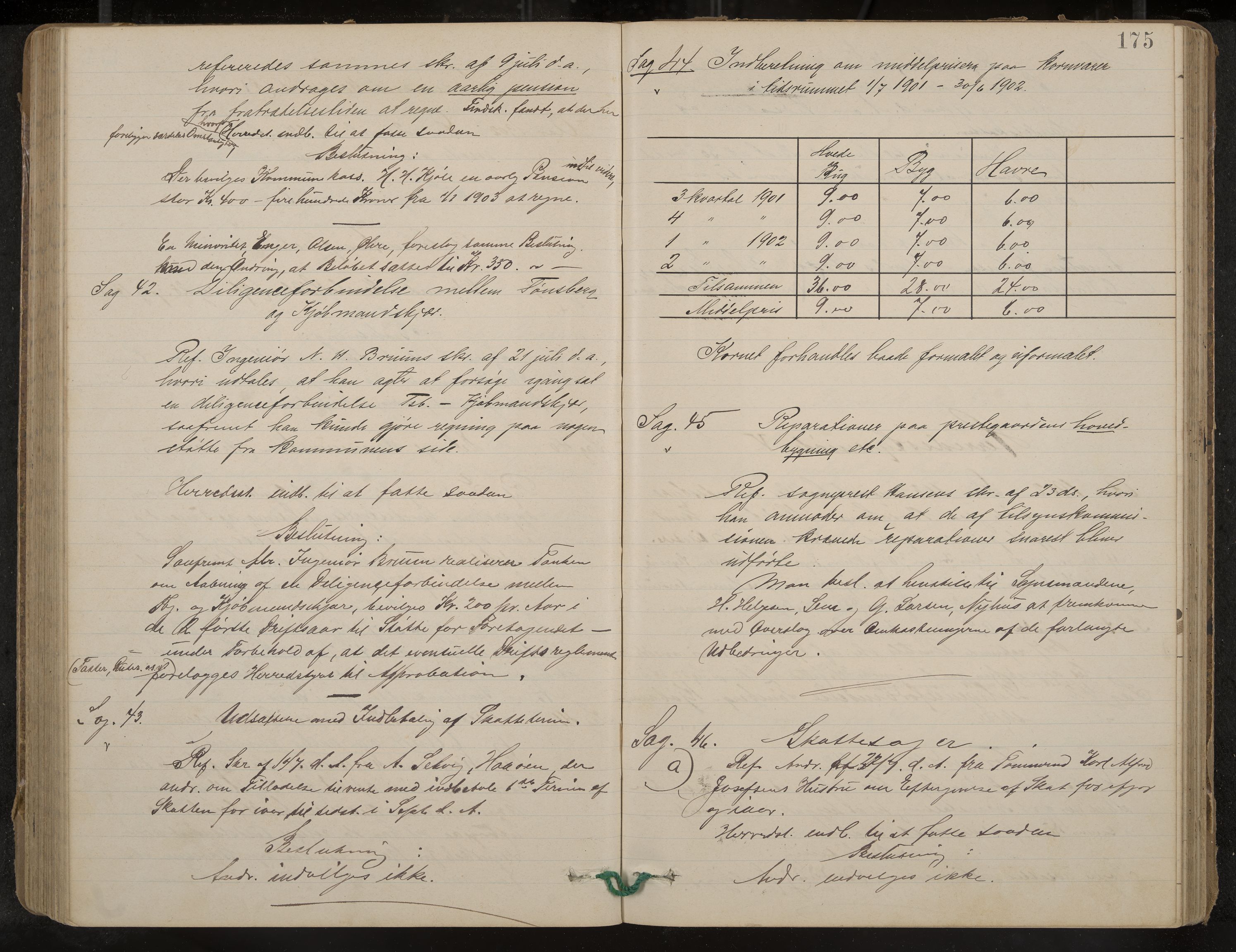 Nøtterøy formannskap og sentraladministrasjon, IKAK/0722021-1/A/Aa/L0005: Møtebok med register, 1896-1905, s. 175