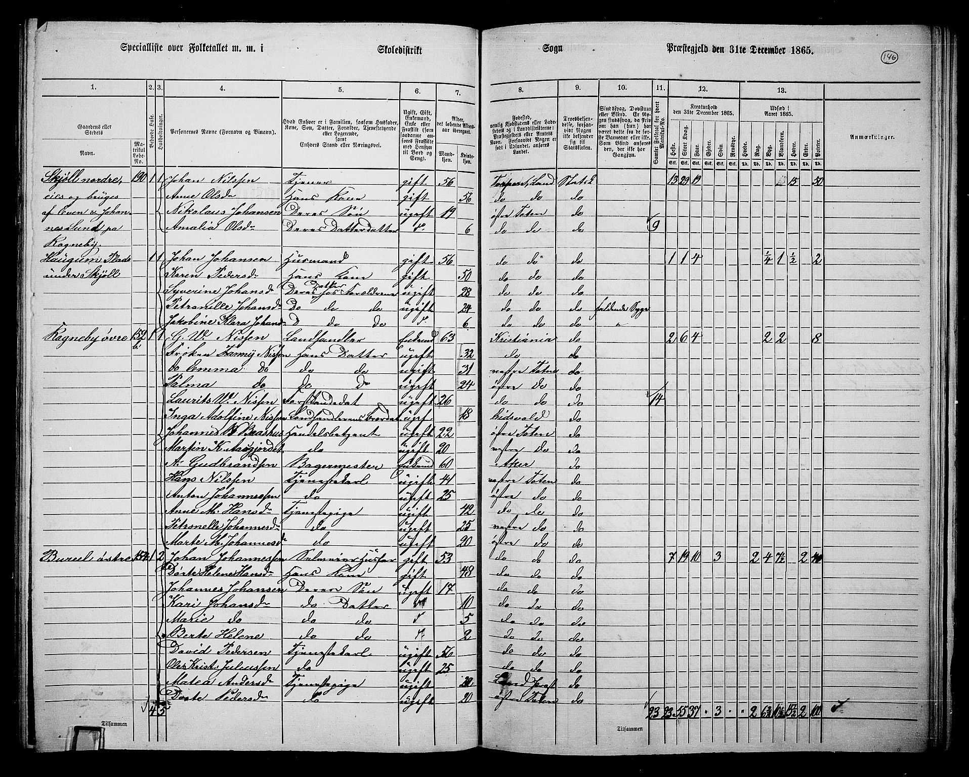 RA, Folketelling 1865 for 0528P Østre Toten prestegjeld, 1865, s. 262