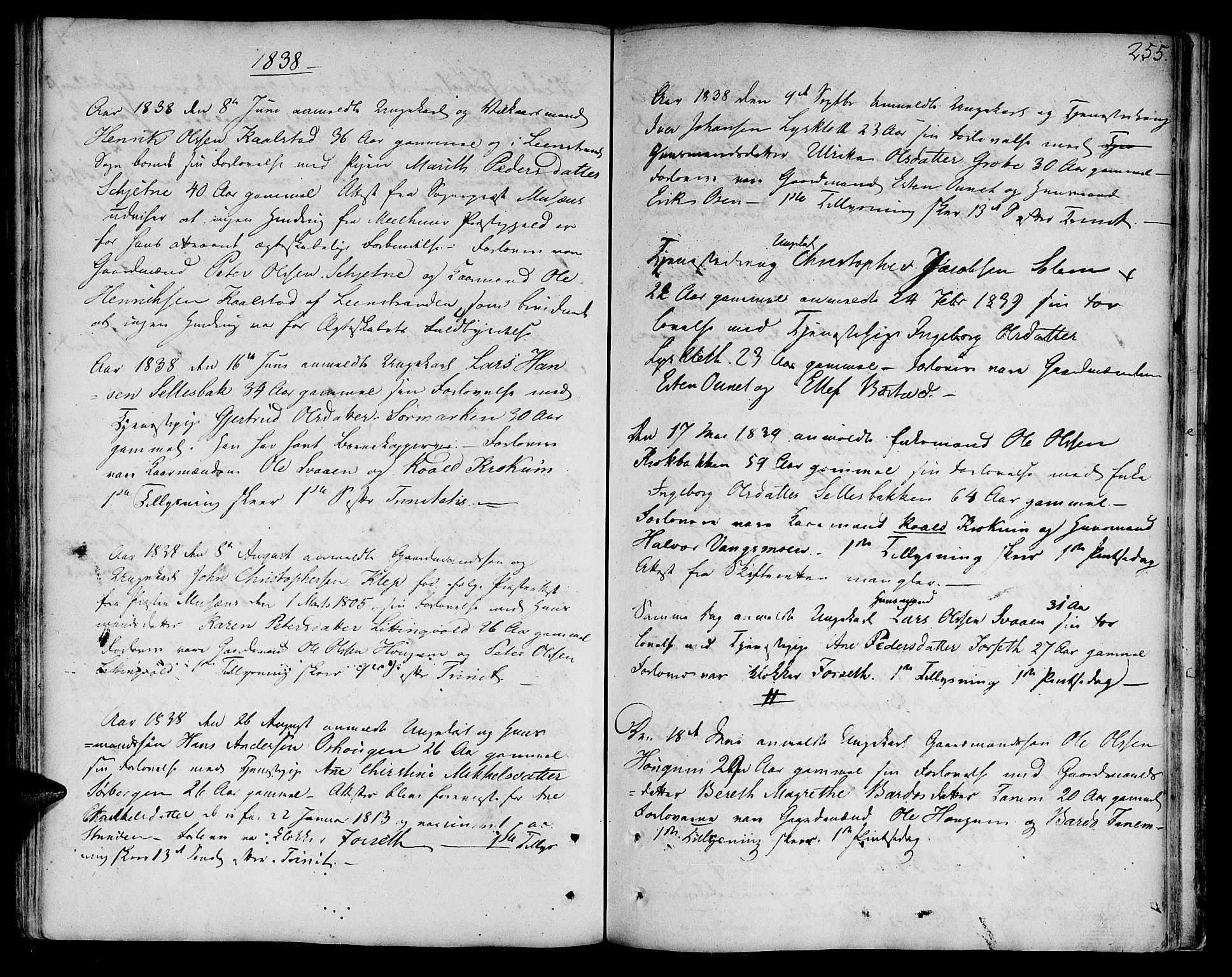 Ministerialprotokoller, klokkerbøker og fødselsregistre - Sør-Trøndelag, AV/SAT-A-1456/618/L0438: Ministerialbok nr. 618A03, 1783-1815, s. 255