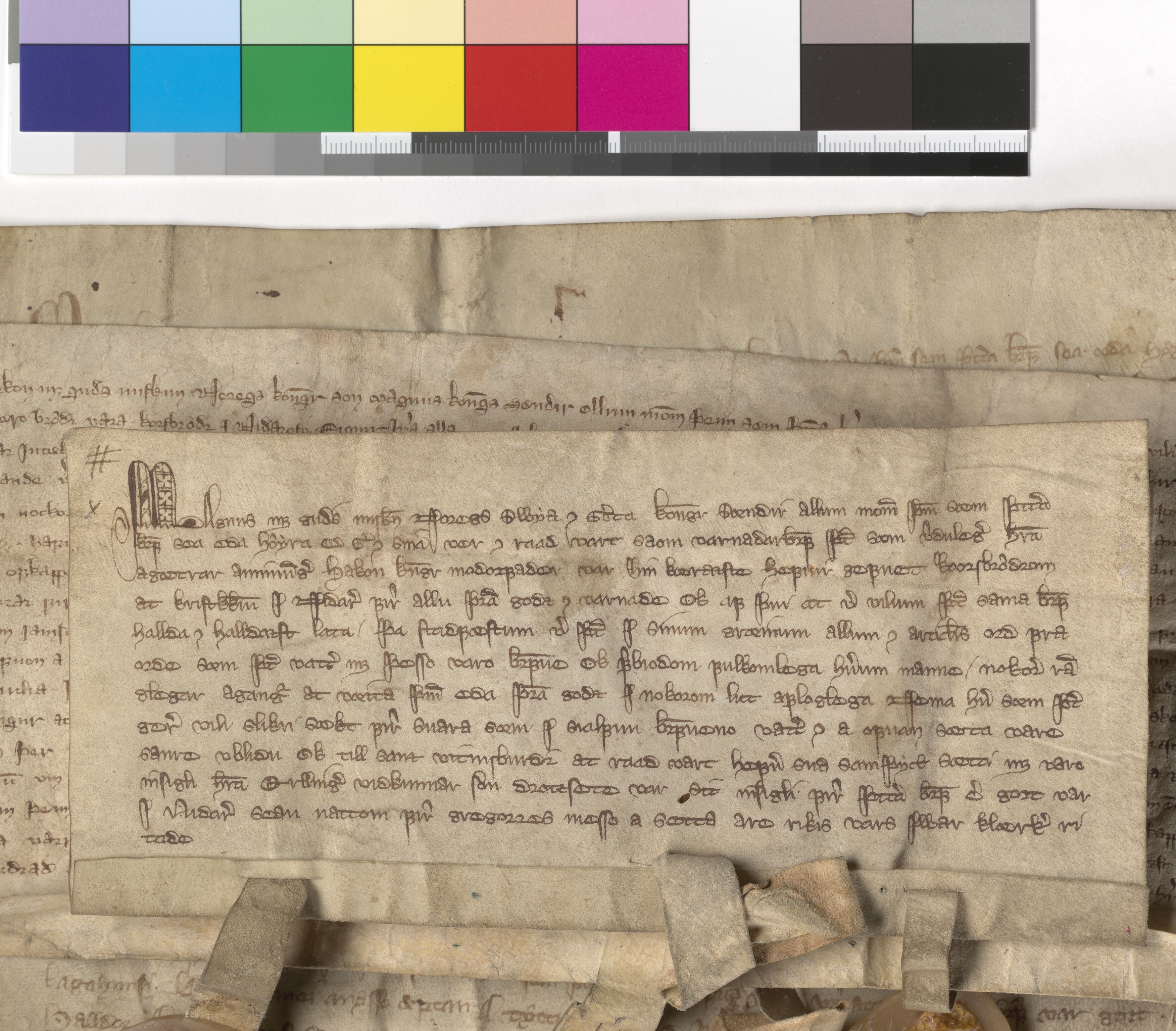 Riksarkivets diplomsamling, AV/RA-EA-5965/F05/L0004: NRA AM fasc. 2 nr. 1-2c, 1301-1339, s. 16
