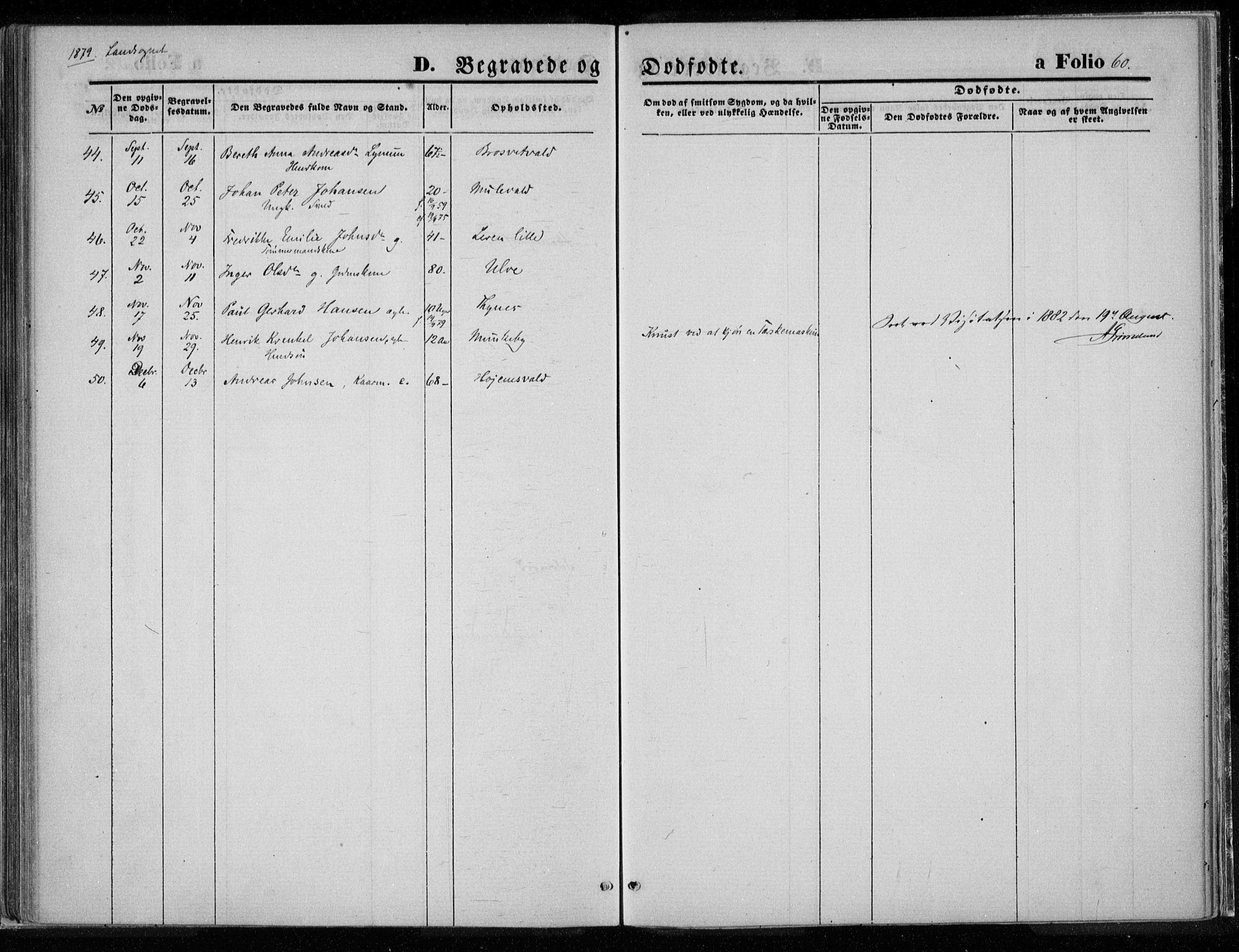 Ministerialprotokoller, klokkerbøker og fødselsregistre - Nord-Trøndelag, AV/SAT-A-1458/720/L0187: Ministerialbok nr. 720A04 /2, 1875-1879, s. 60