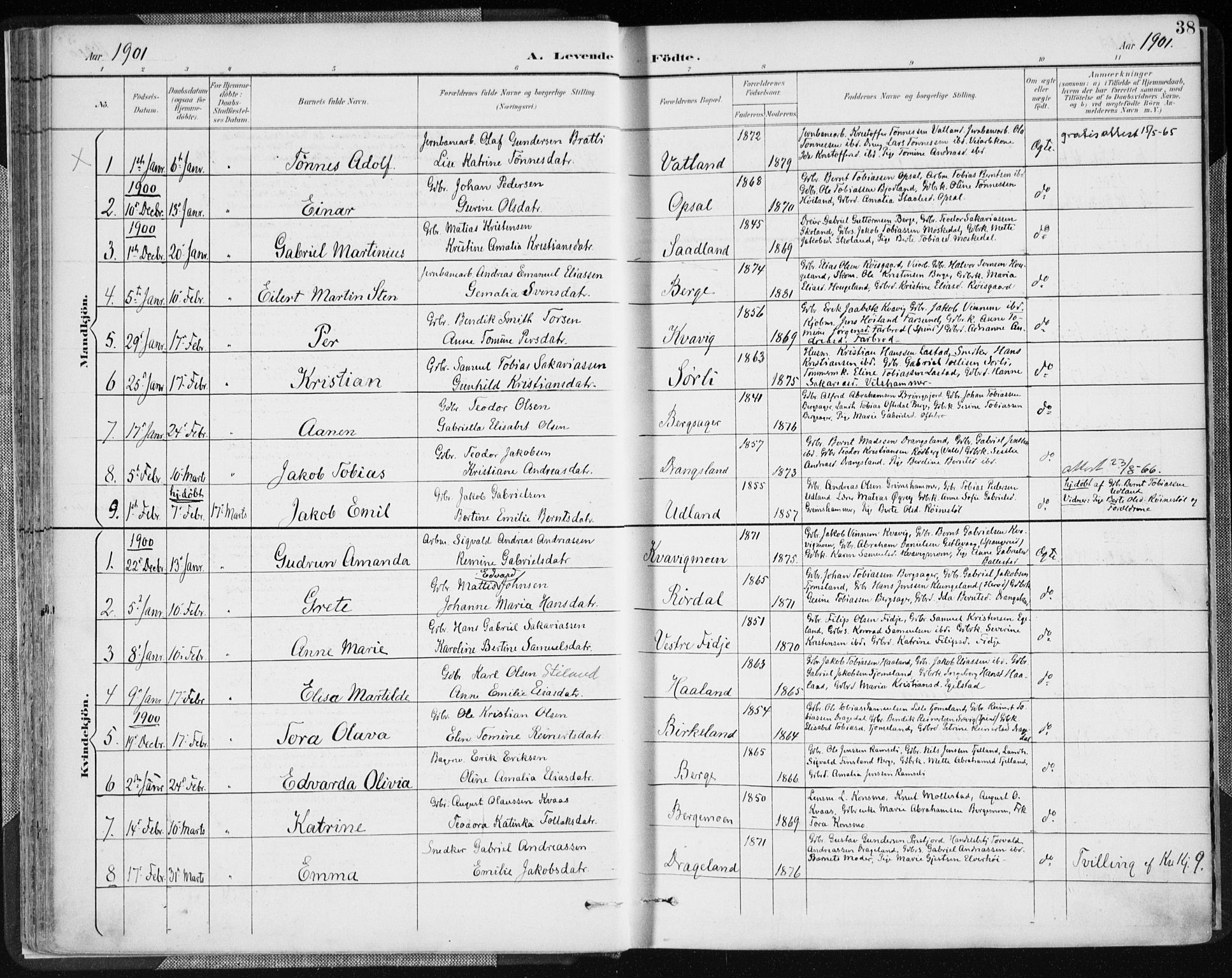 Lyngdal sokneprestkontor, AV/SAK-1111-0029/F/Fa/Fac/L0012: Ministerialbok nr. A 12, 1894-1918, s. 38