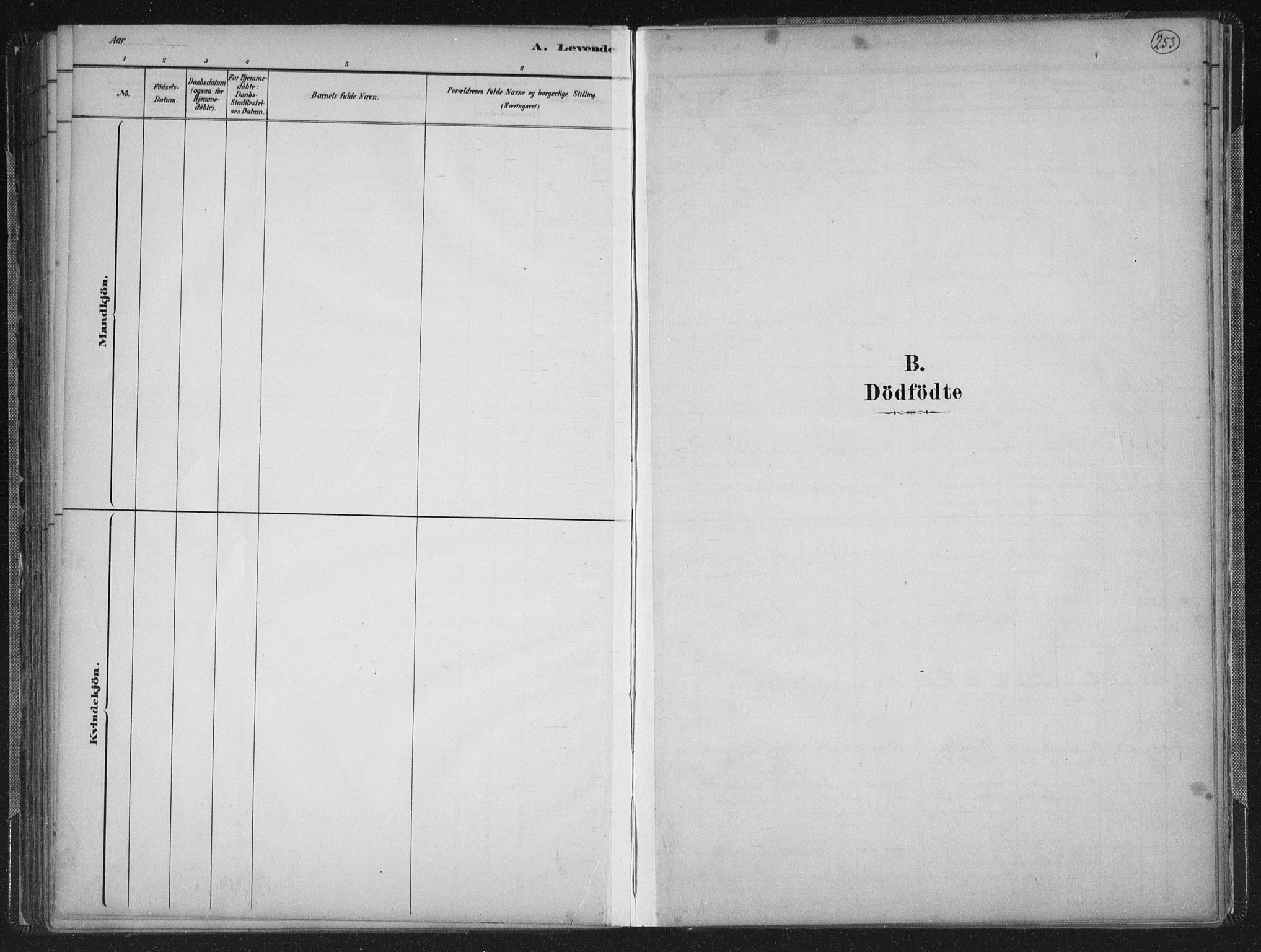 Mandal sokneprestkontor, SAK/1111-0030/F/Fb/Fba/L0011: Klokkerbok nr. B 5, 1880-1898, s. 253