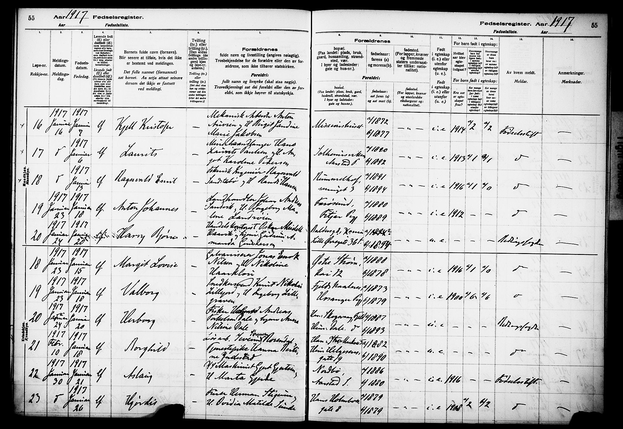 Kvinneklinikken, AV/SAB-A-76301/F/L0A01: Fødselsregister nr. A 1, 1916-1920, s. 55