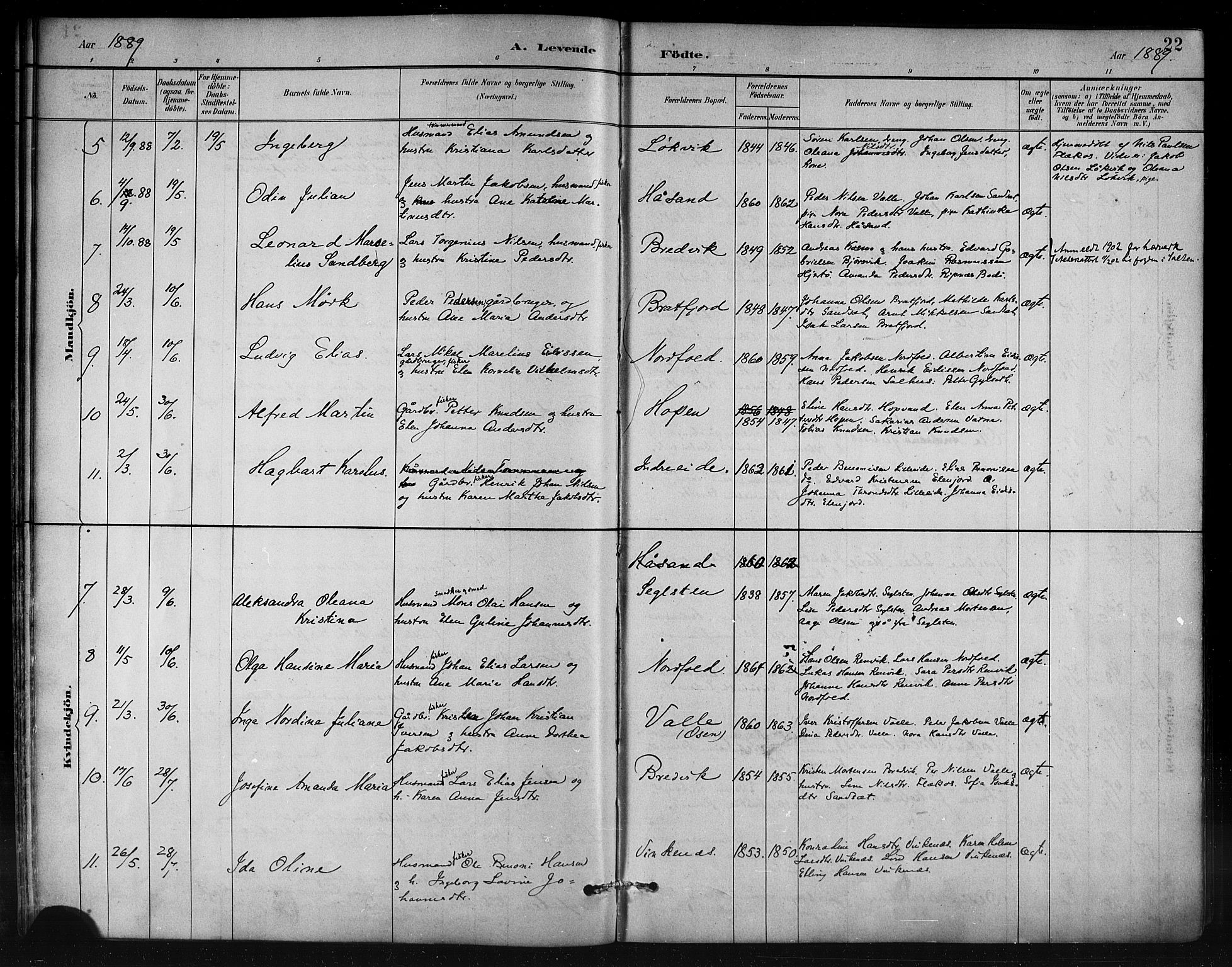 Ministerialprotokoller, klokkerbøker og fødselsregistre - Nordland, AV/SAT-A-1459/858/L0831: Ministerialbok nr. 858A01, 1884-1902, s. 22