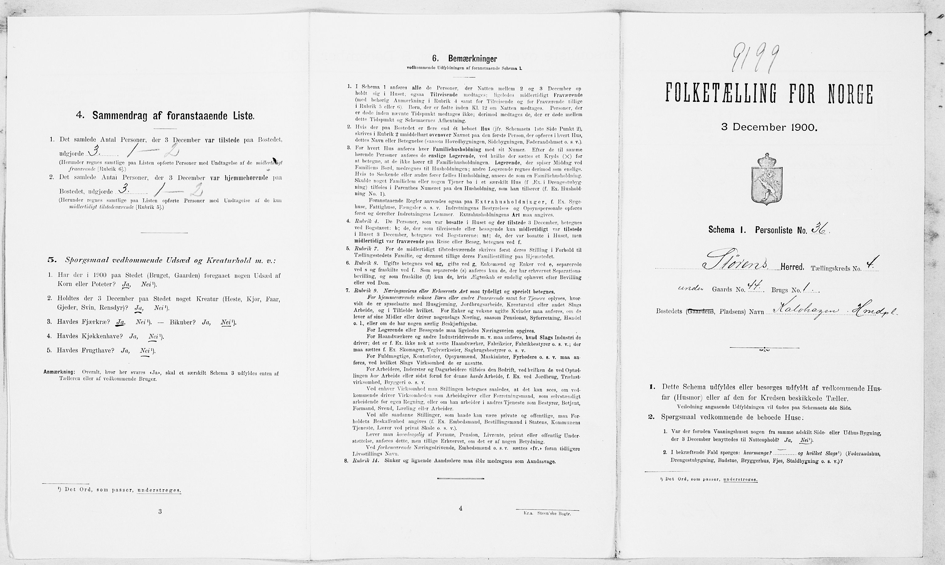 SAT, Folketelling 1900 for 1648 Støren herred, 1900, s. 385