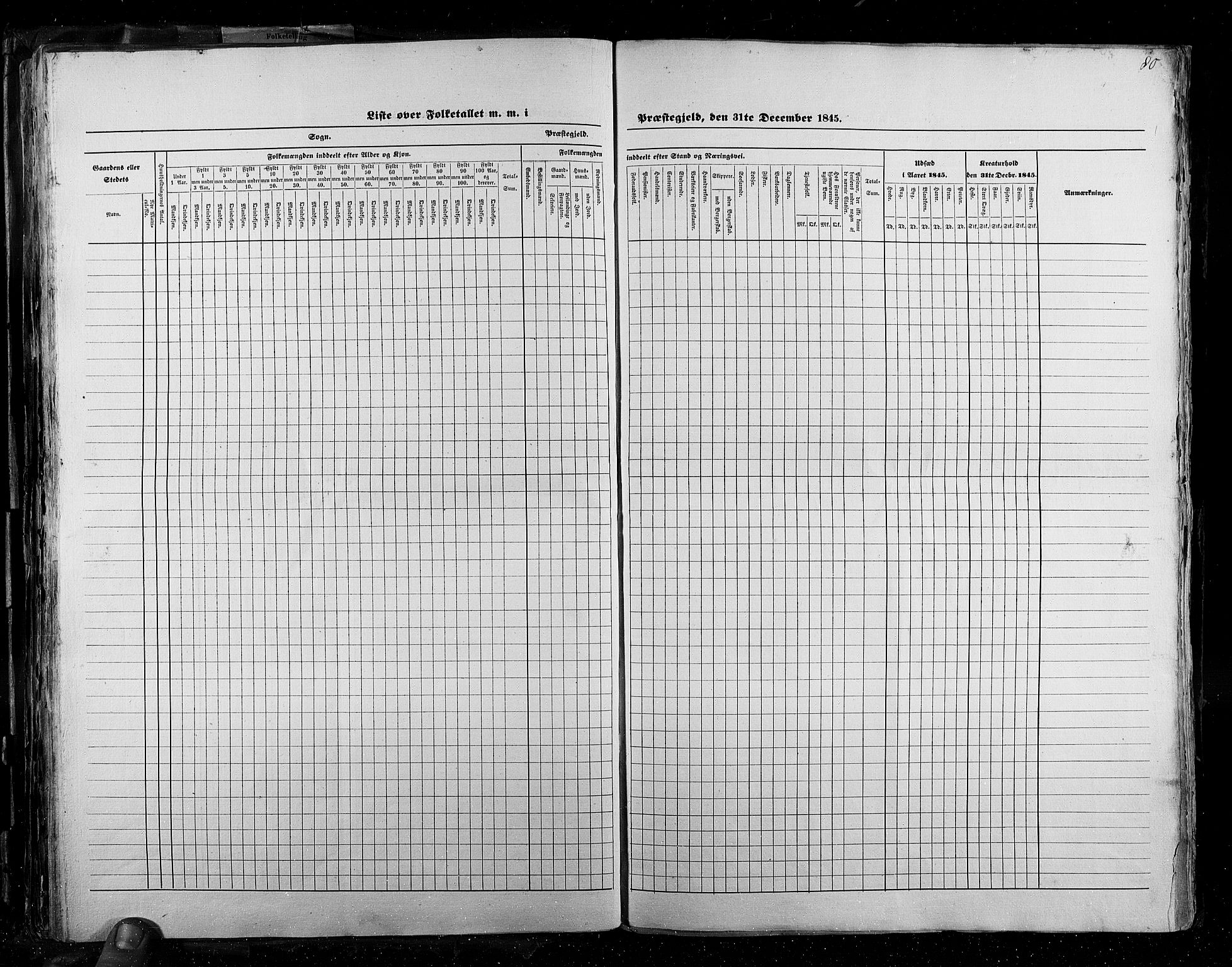 RA, Folketellingen 1845, bind 2: Smålenenes amt og Akershus amt, 1845, s. 80