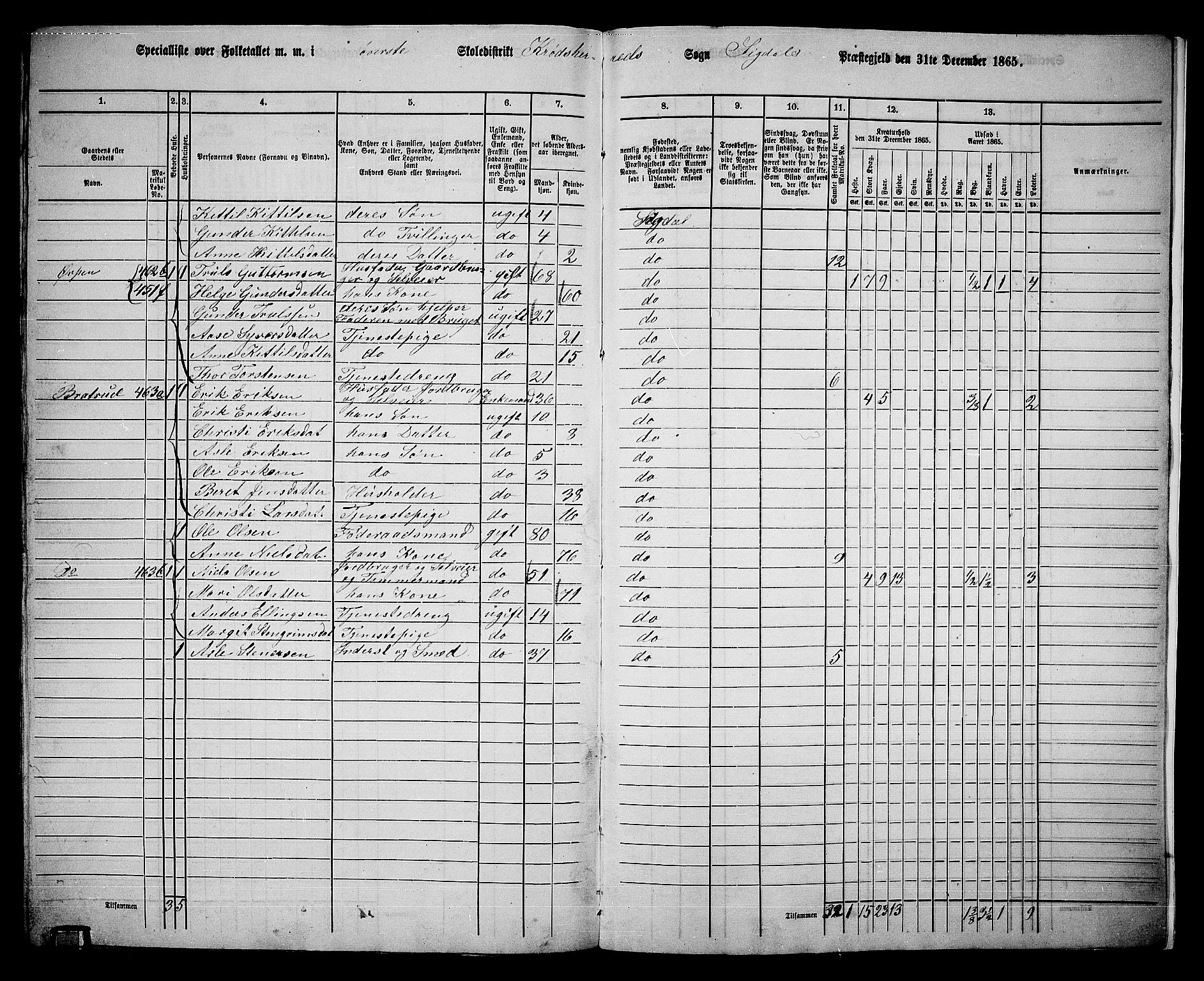 RA, Folketelling 1865 for 0621P Sigdal prestegjeld, 1865, s. 278