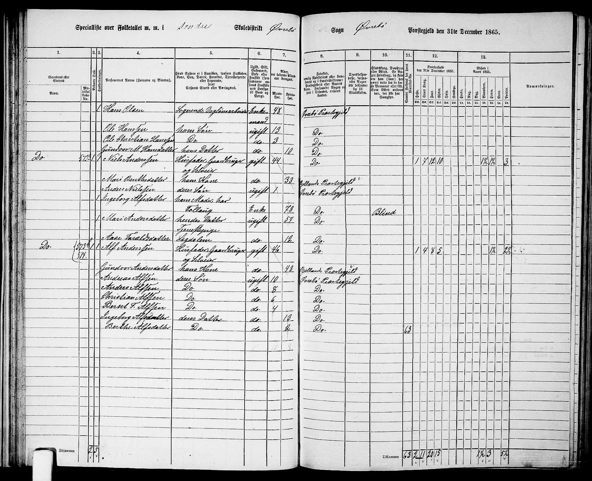 RA, Folketelling 1865 for 1016P Øvrebø prestegjeld, 1865, s. 49