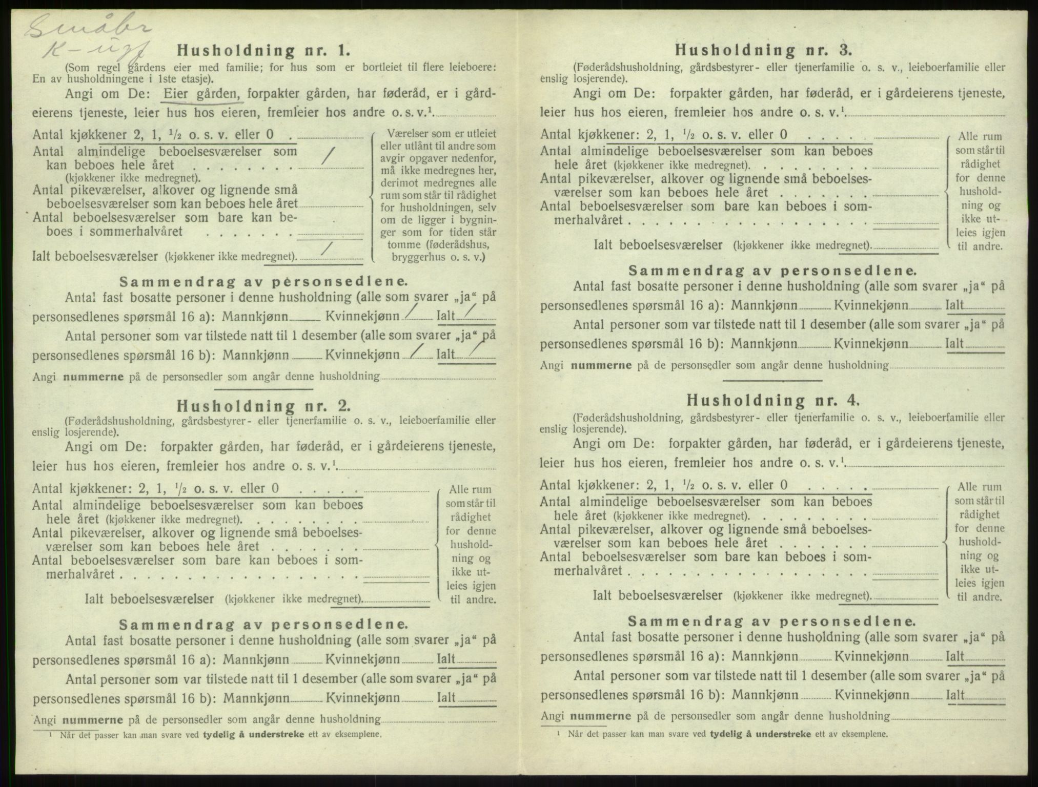 SAB, Folketelling 1920 for 1420 Sogndal herred, 1920, s. 387