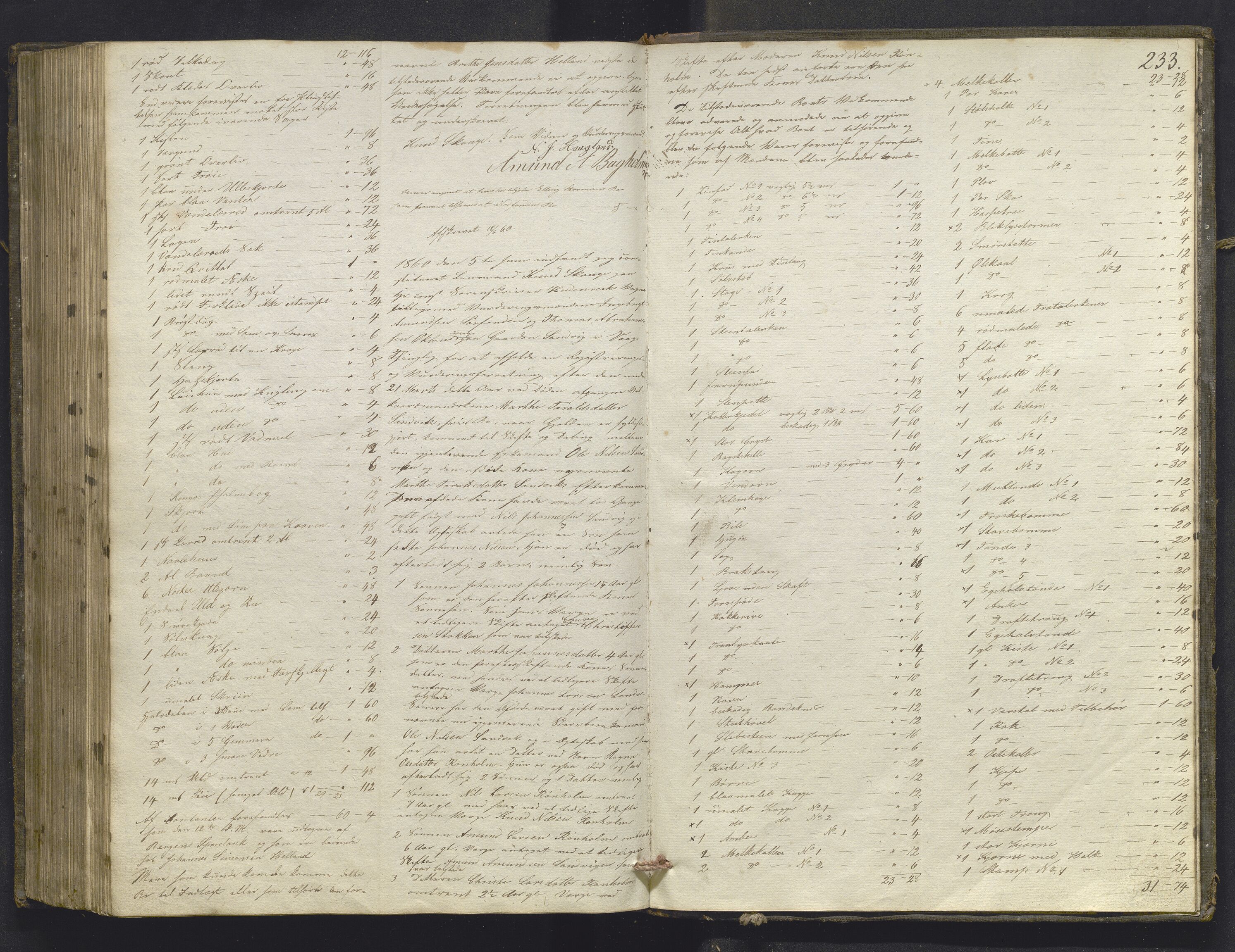 Lensmannen i Sund og Austevoll, AV/SAB-A-35201/0006/L0008: Registreringsprotokoll, 1846-1860, s. 232b-233a
