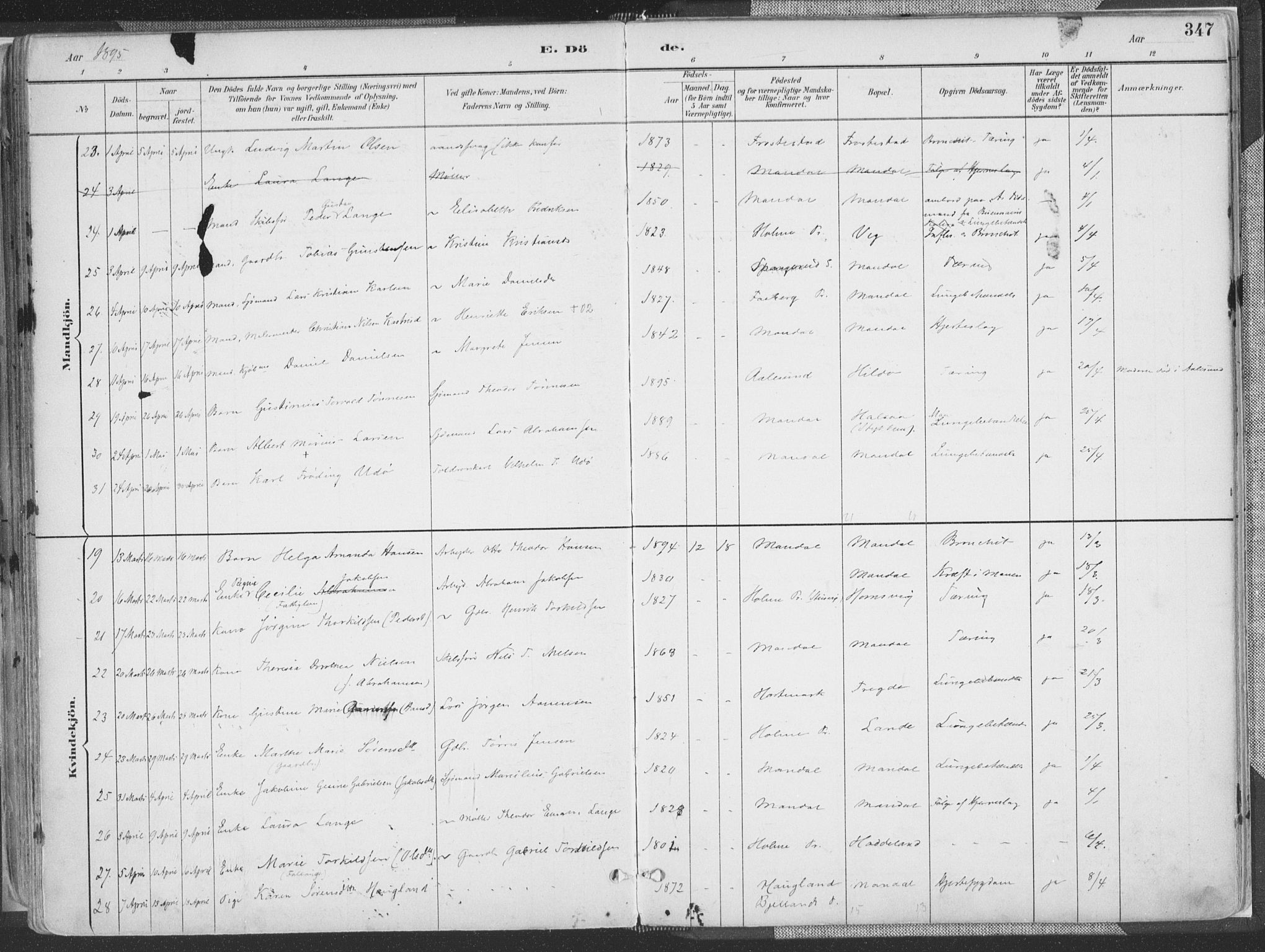 Mandal sokneprestkontor, SAK/1111-0030/F/Fa/Faa/L0018: Ministerialbok nr. A 18, 1890-1905, s. 347