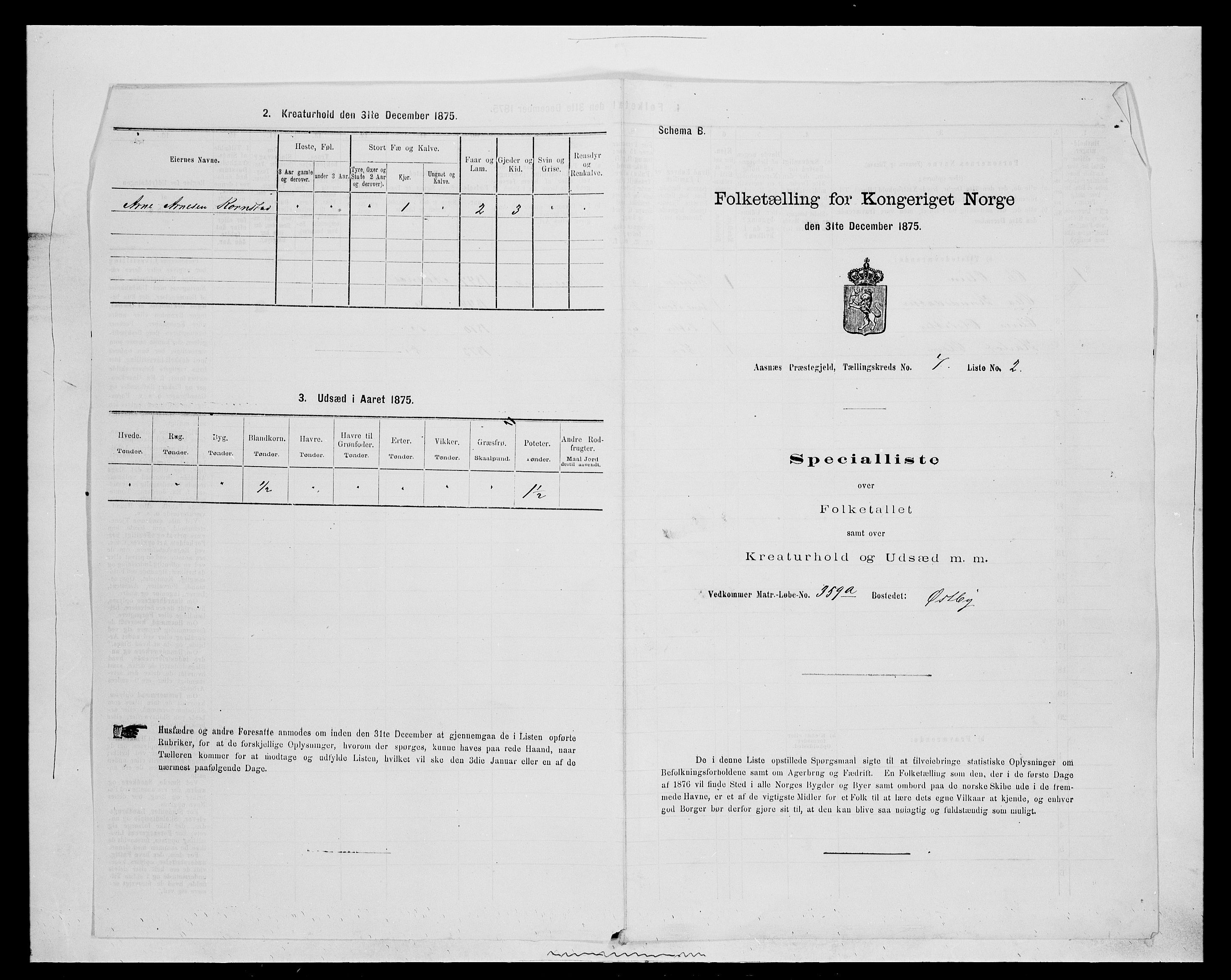 SAH, Folketelling 1875 for 0425P Åsnes prestegjeld, 1875, s. 975