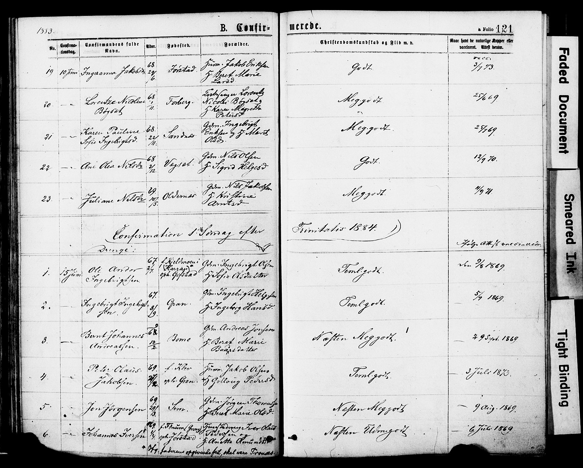 Ministerialprotokoller, klokkerbøker og fødselsregistre - Nord-Trøndelag, SAT/A-1458/749/L0473: Ministerialbok nr. 749A07, 1873-1887, s. 121